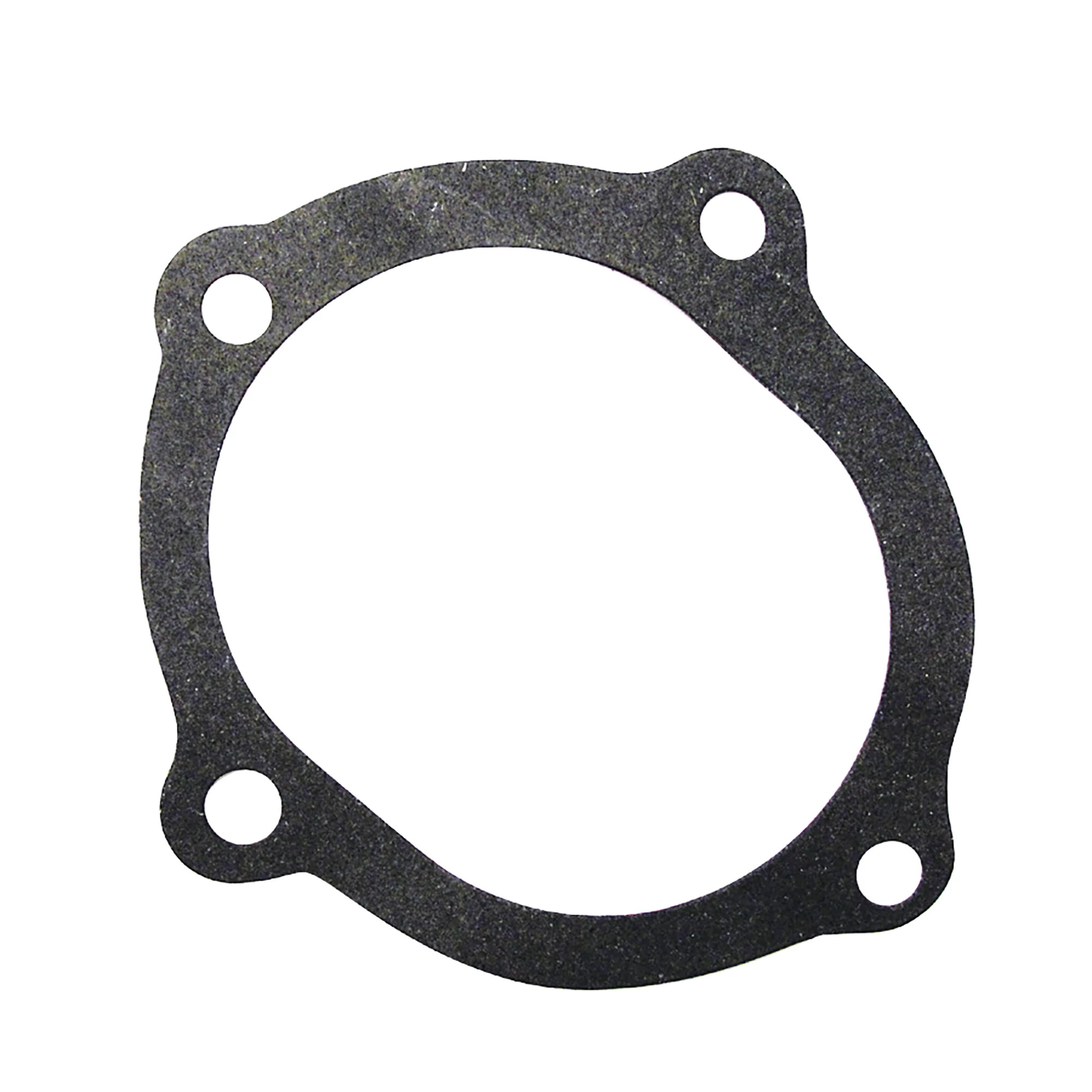 Water Pump Gasket Pump to Backplate | NEWHOLLANDAG | CA | FR