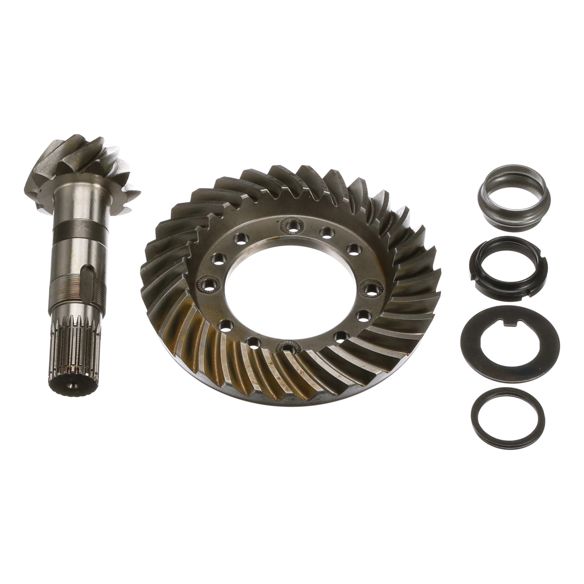 PIGNON CONIQUE | NEWHOLLANDAG | CA | EN