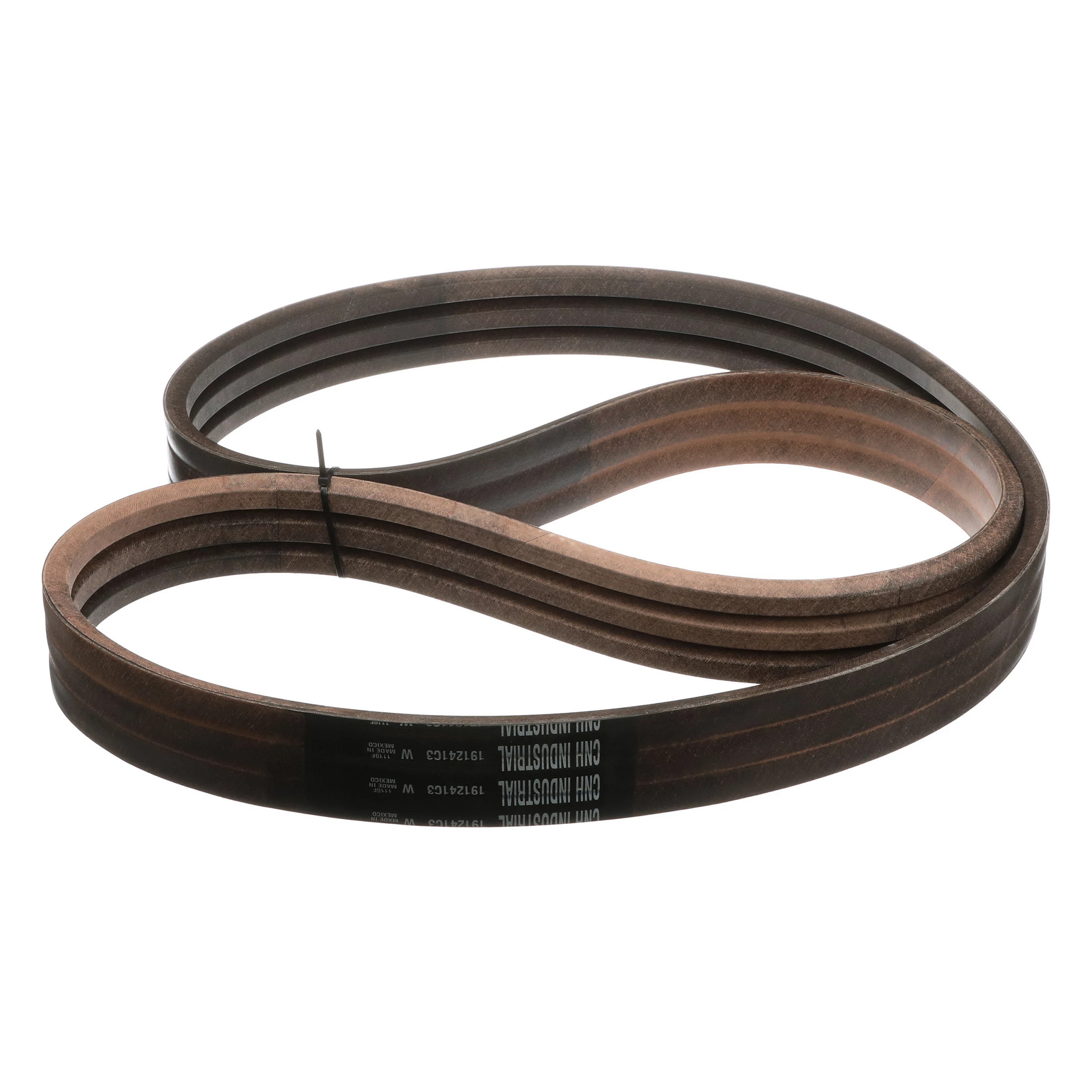 BELT | CASECE | US | EN