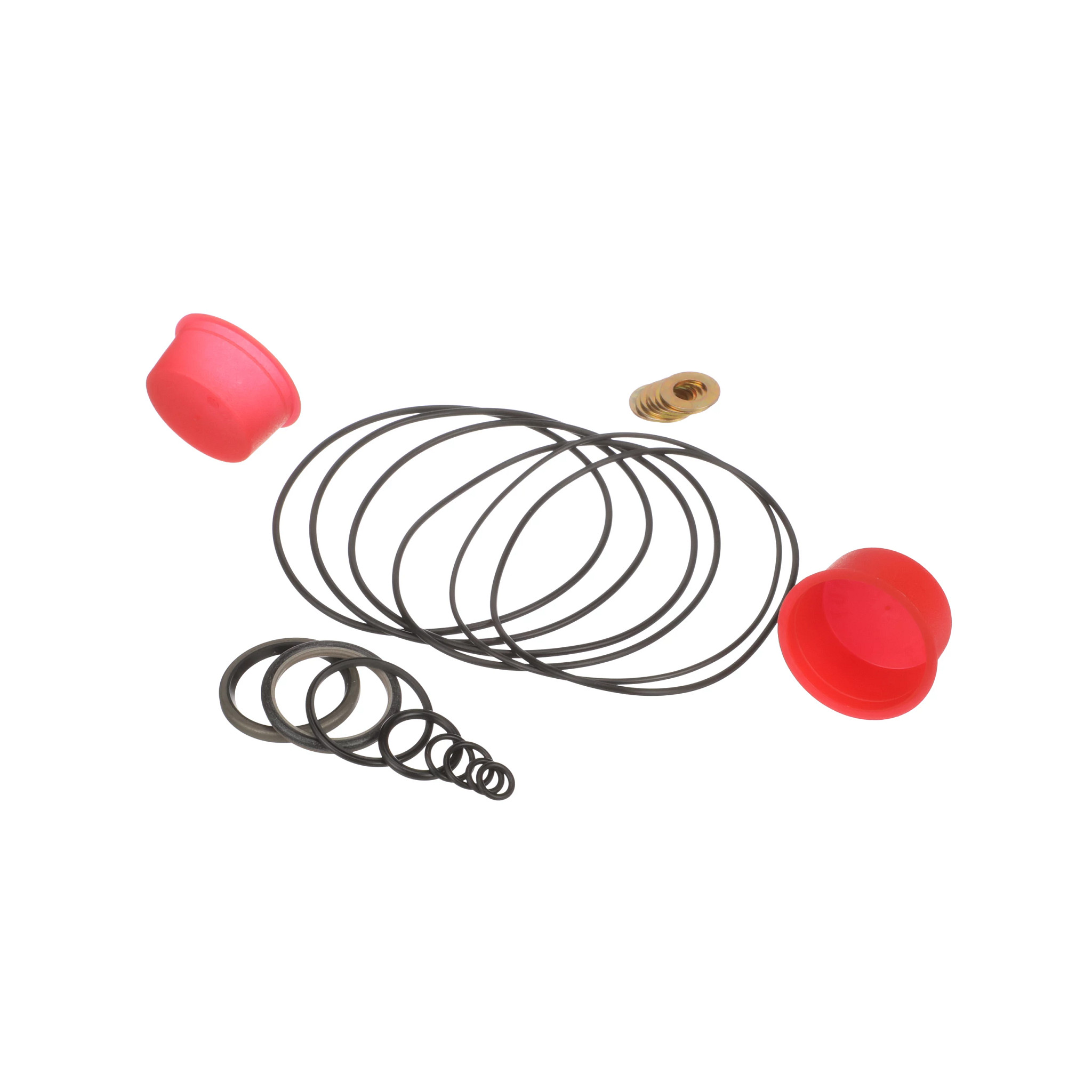 Conjunto de Juntas | CASECE | BR | PT