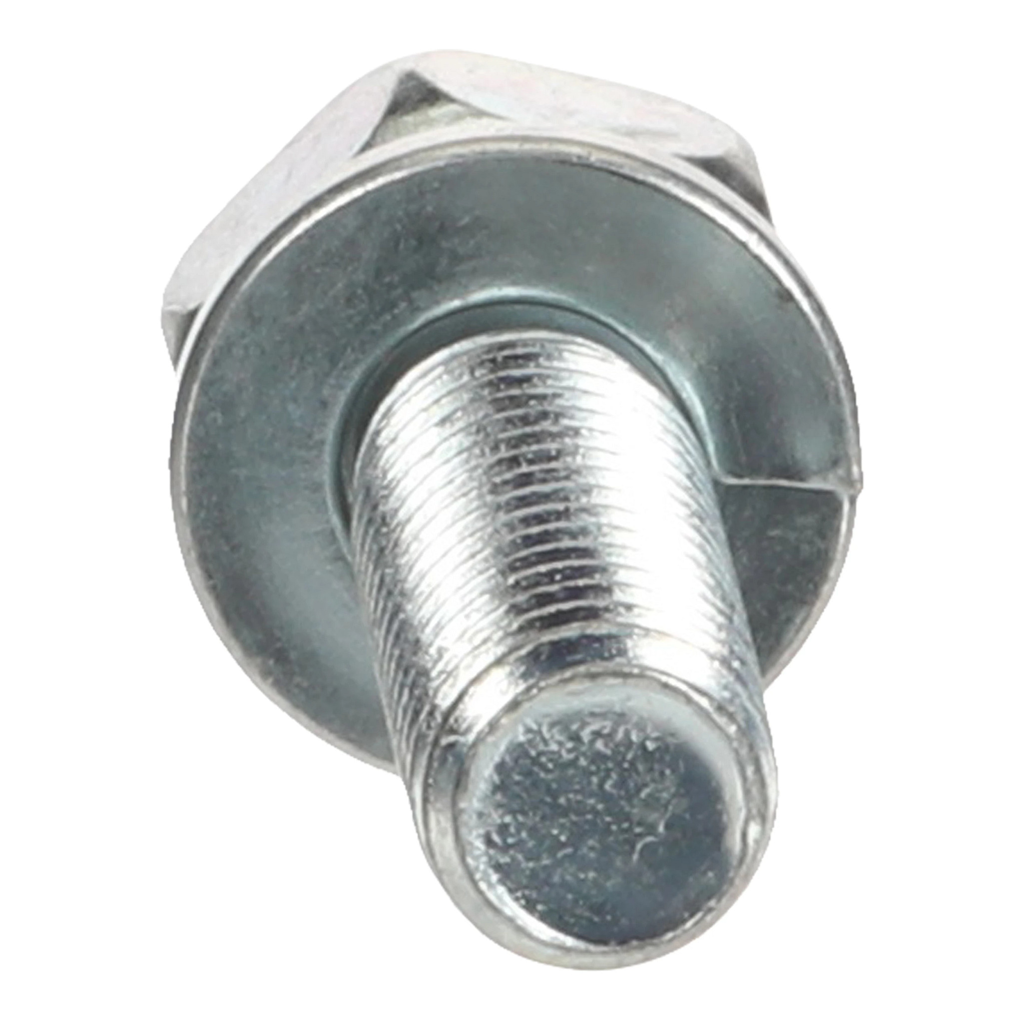 BOLT | CASECE | CA | EN