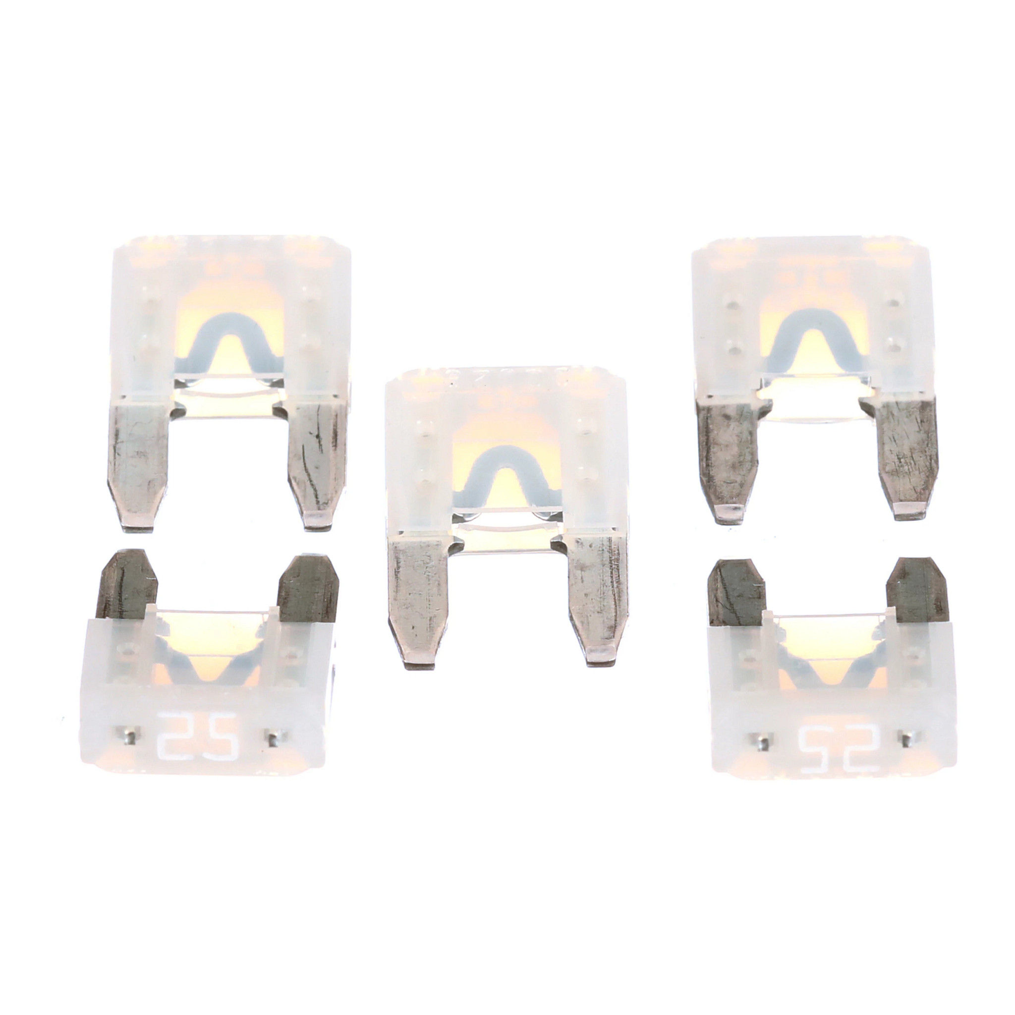 FUSIBLE | CASECE | SA | EN