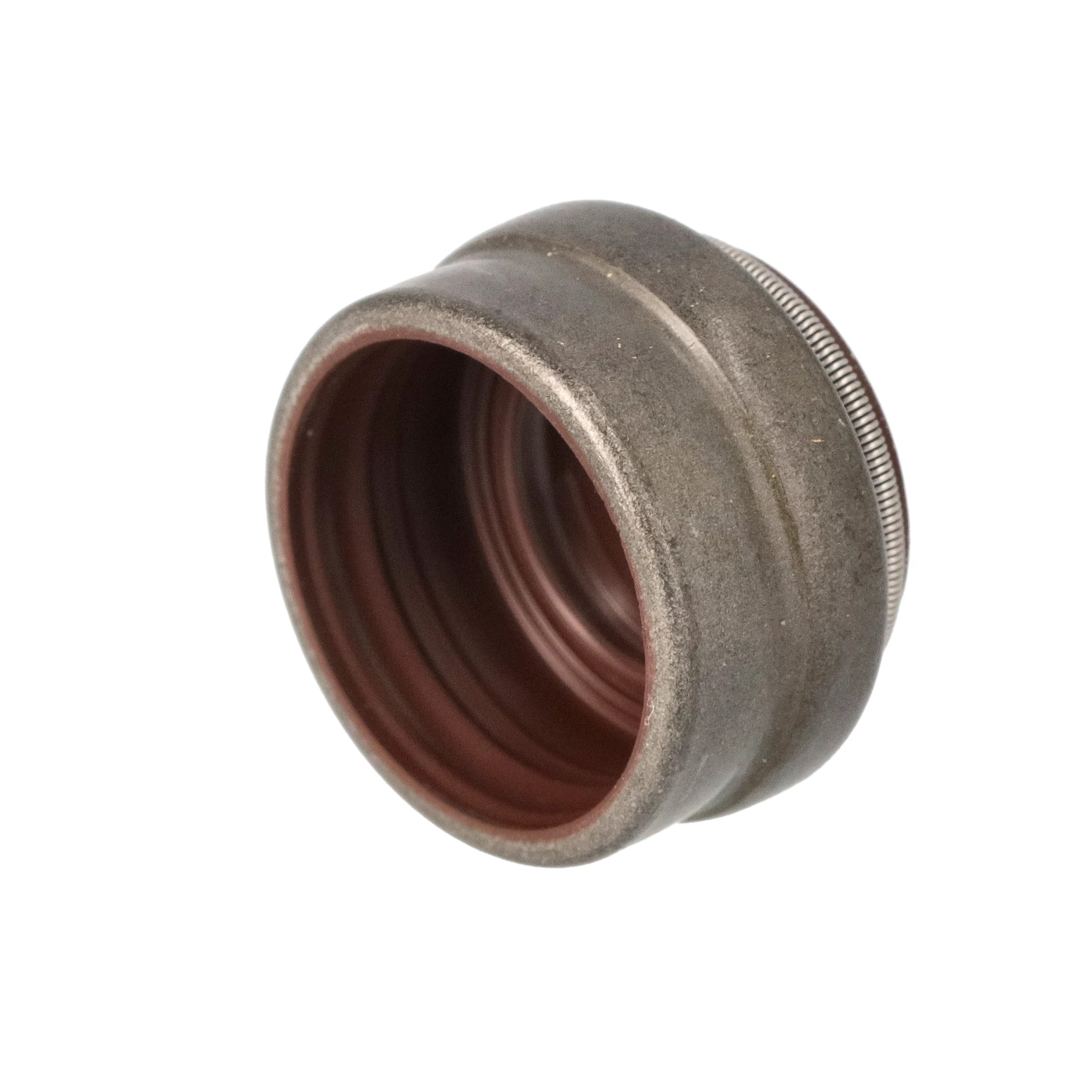 OIL SEAL | CASECE | SA | EN