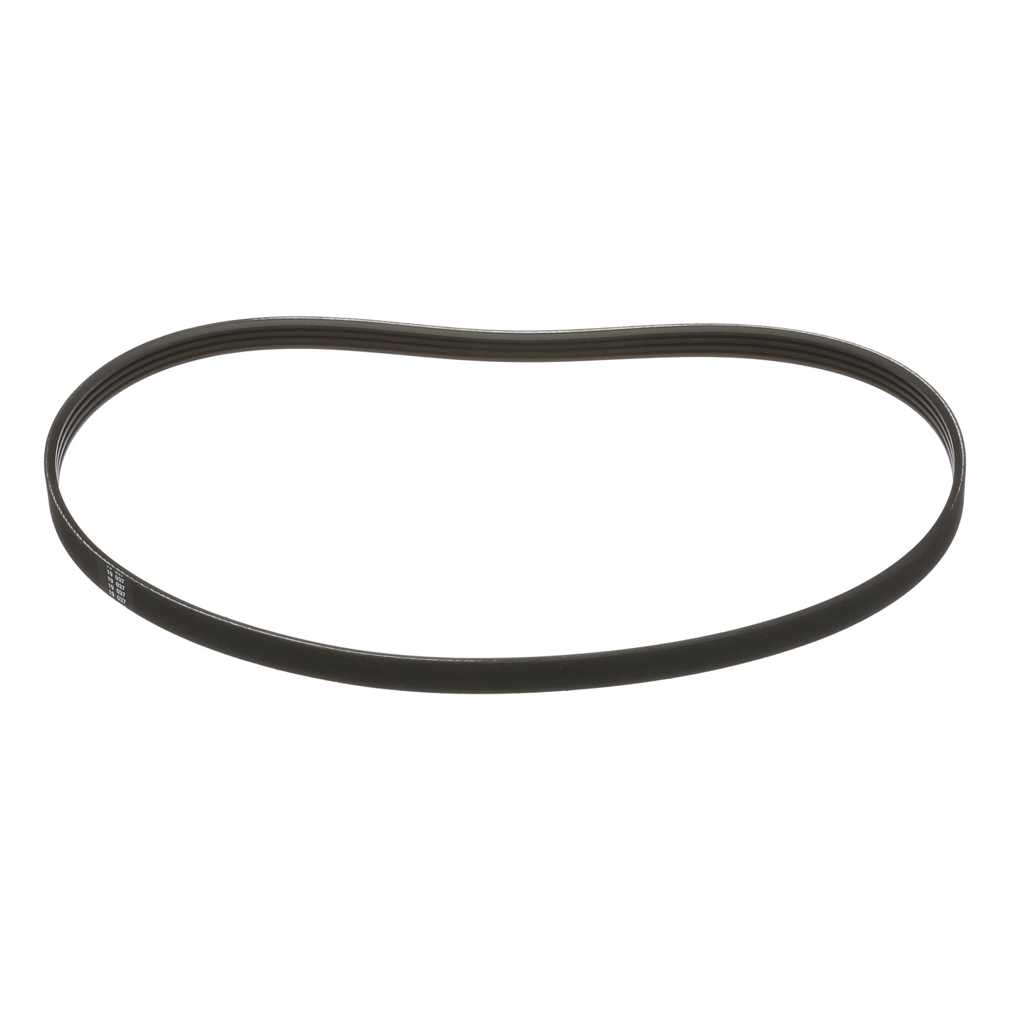 V-BELT | CASECE | US | EN