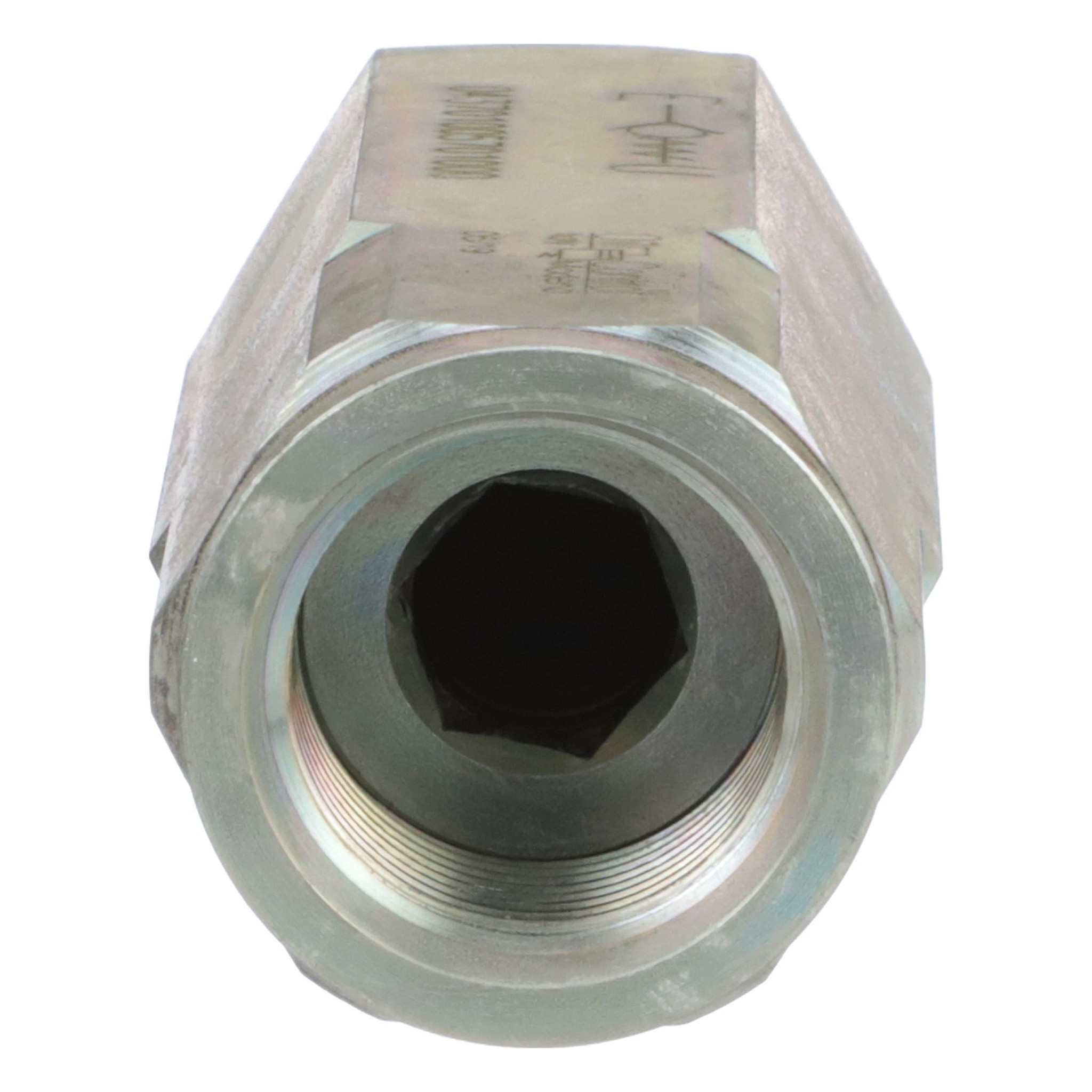 CHECK VALVE | CASECE | EU | IT