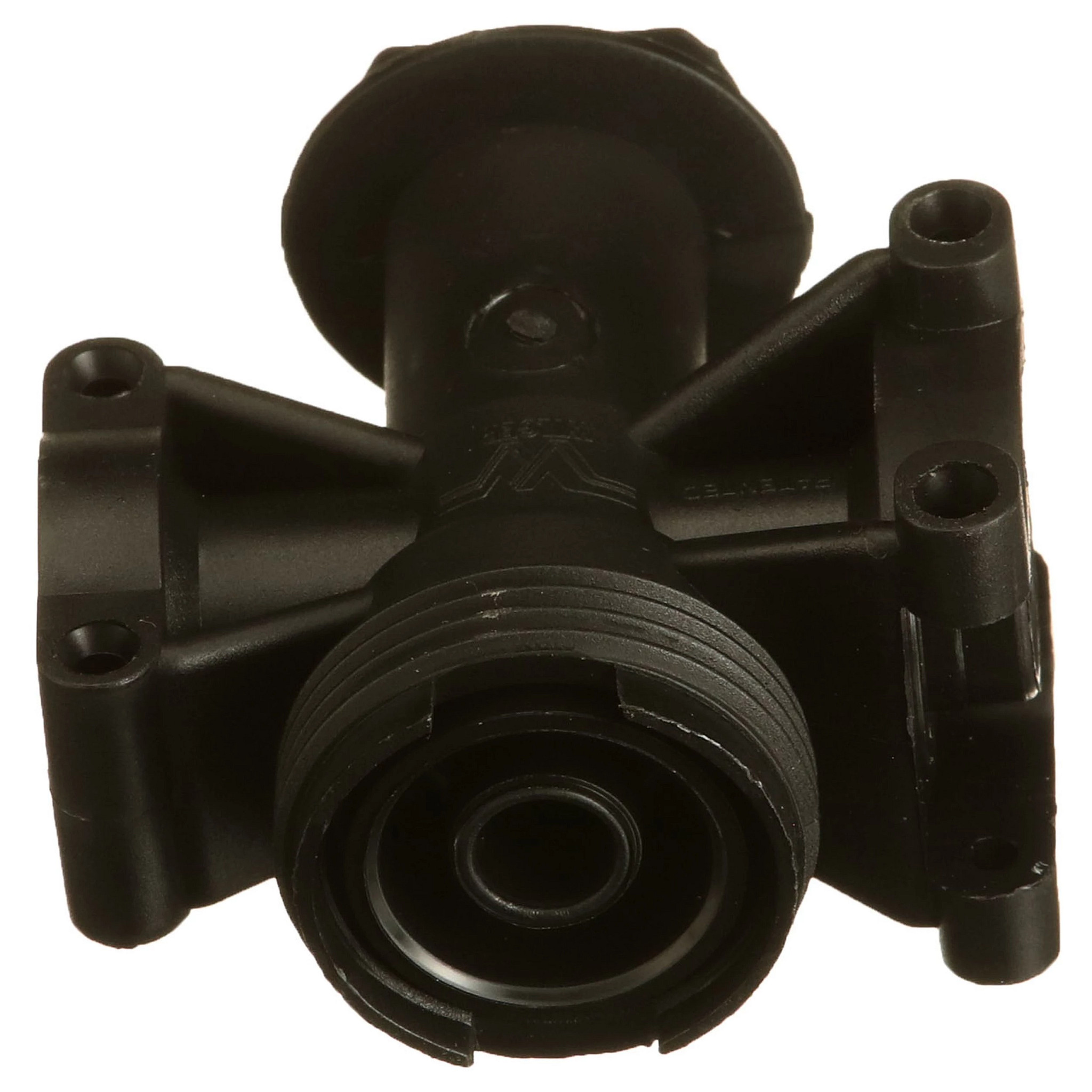 BODY | CASECE | US | EN