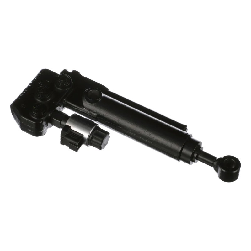 Hydraulic Cylinder | CASEIH | US | EN