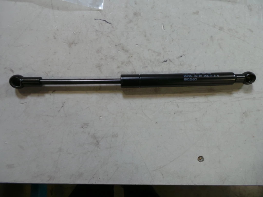 GAS STRUT | CASECE | US | EN