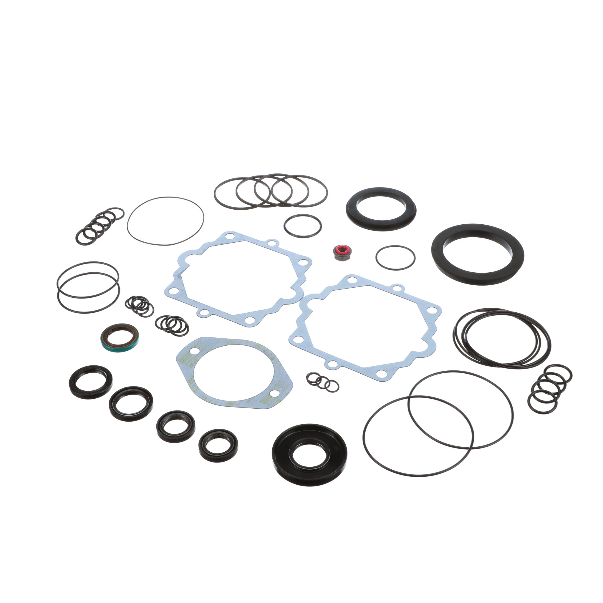 Hydraulic Pump Repair Kit | CASECE | BR | PT