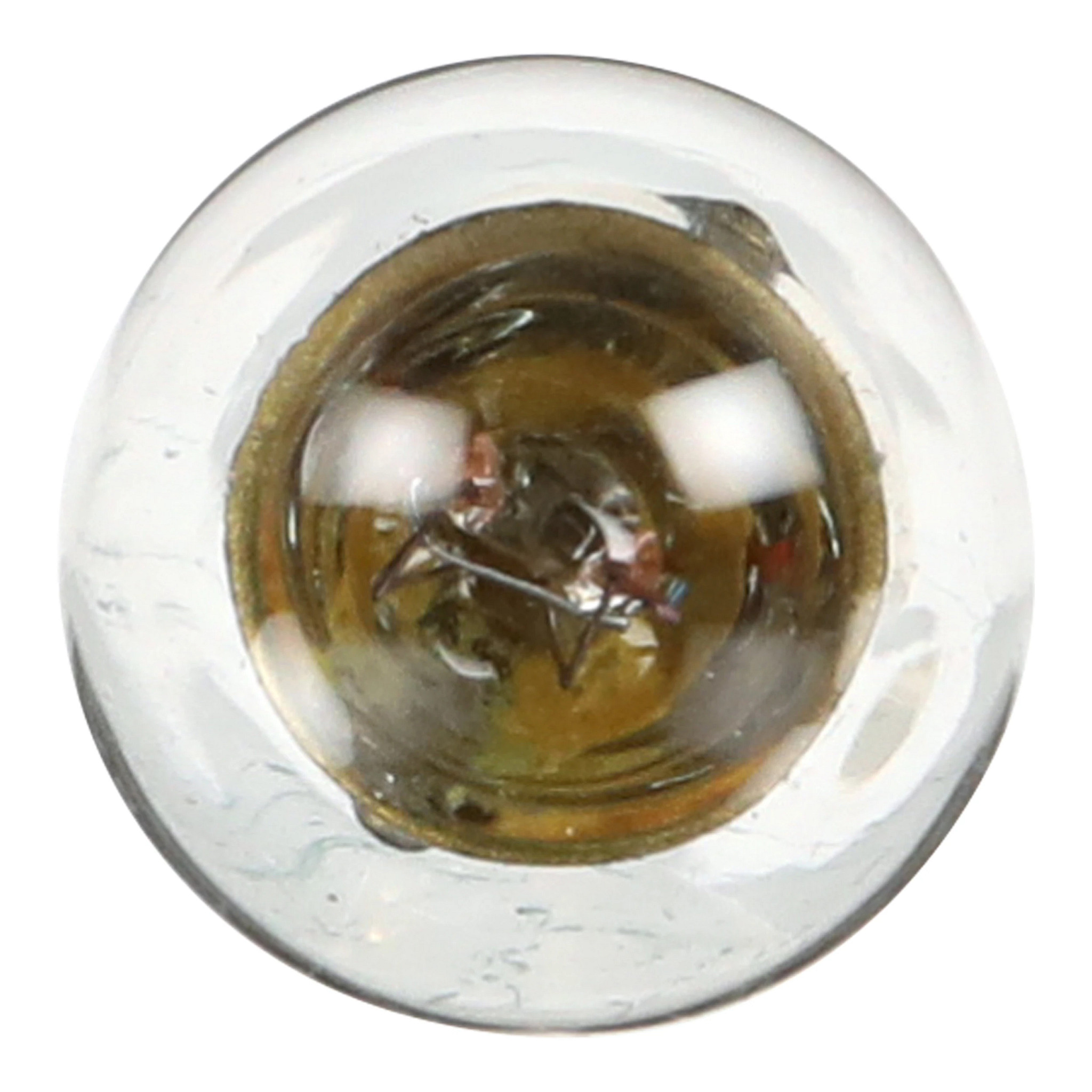 AMPOULE | CASECE | CA | FR