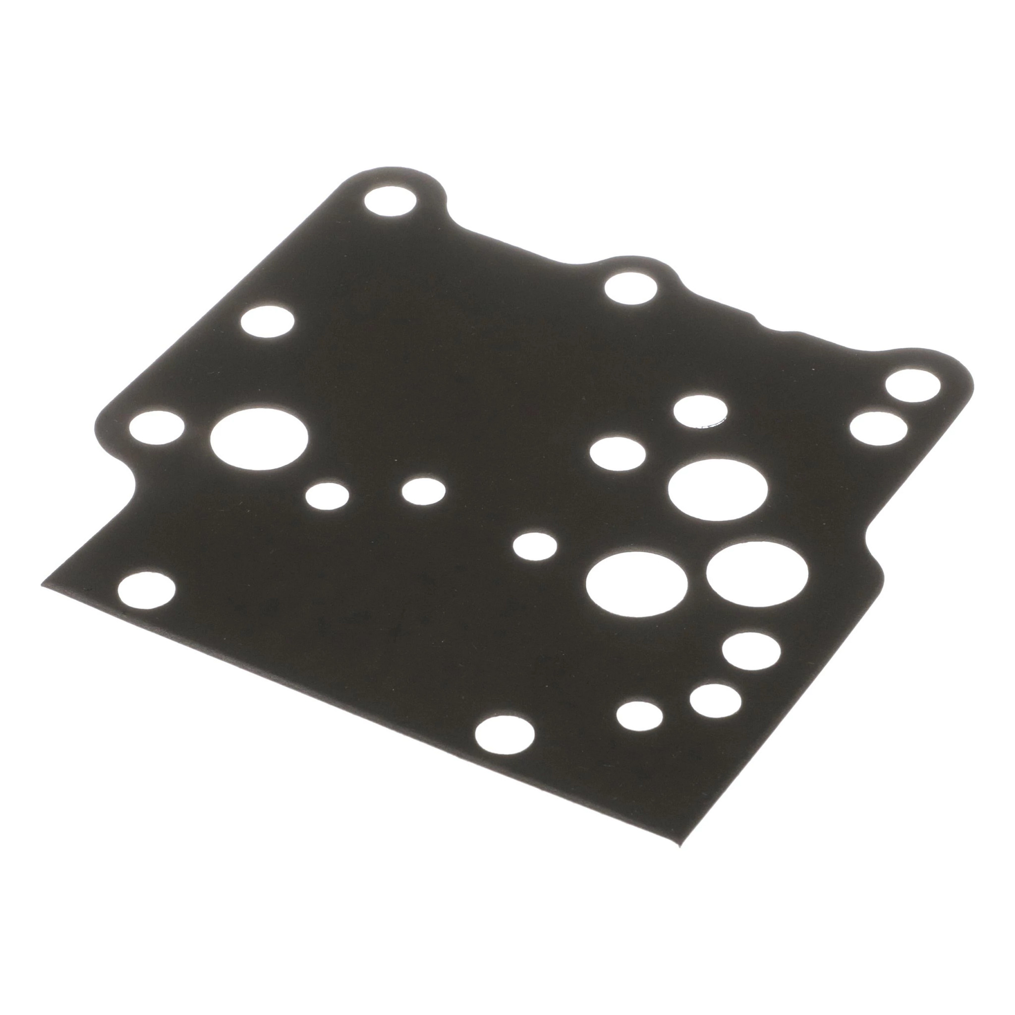 Engine Gasket | CASECE | US | EN