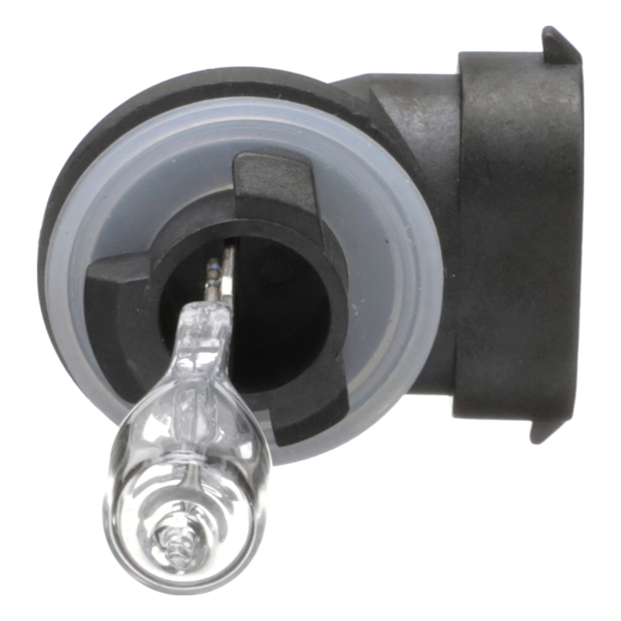 BOMBILLA | CASECE | EU | ES