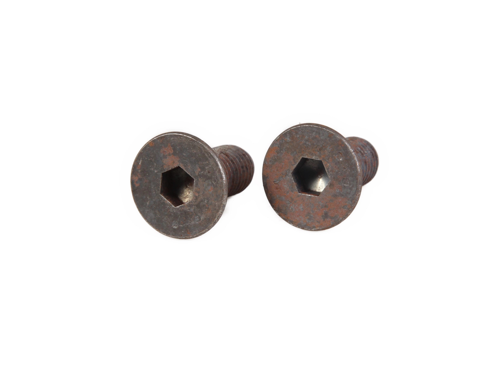 SCREW | CASECE | CA | EN
