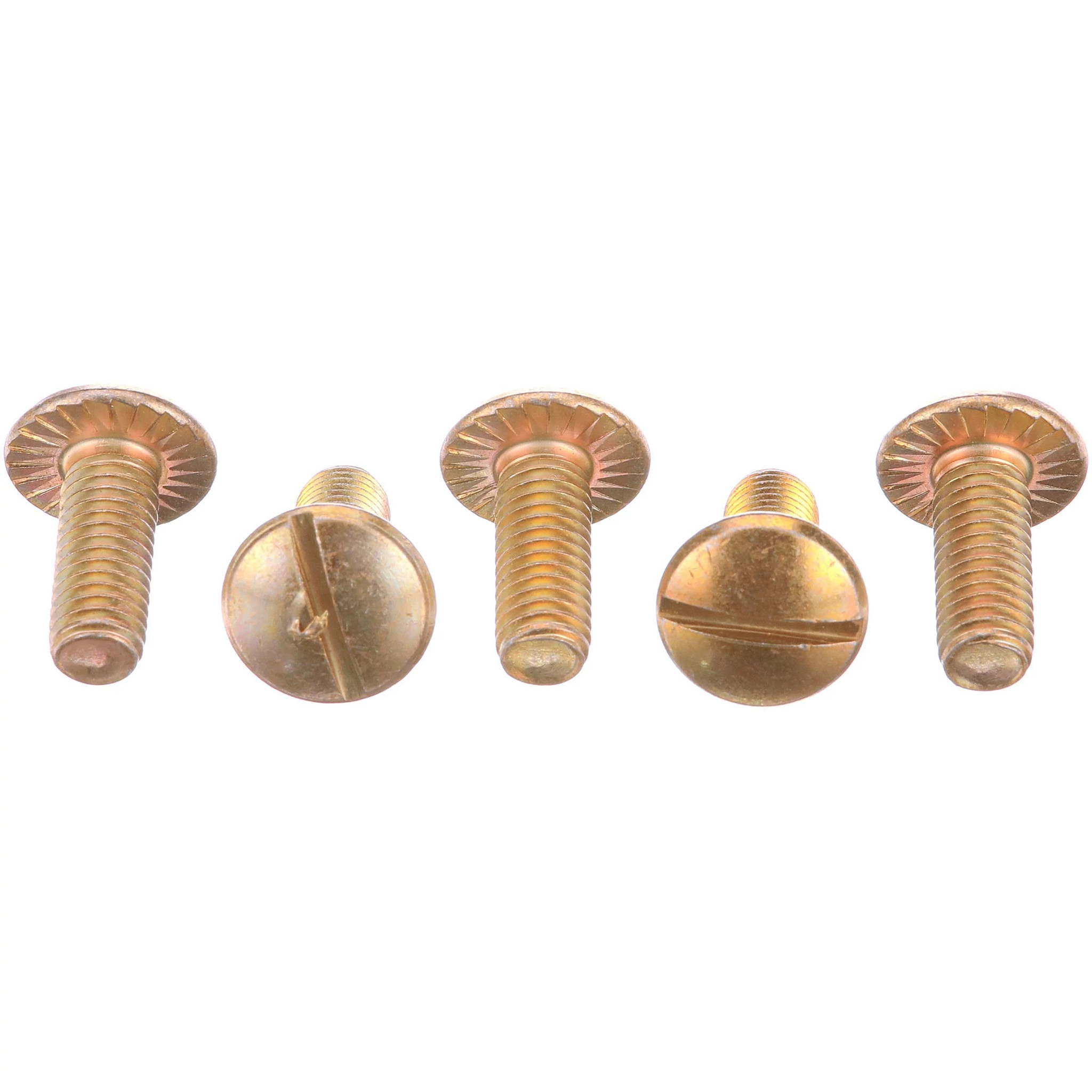 SERRATED SCREW | CASEIH | CA | EN