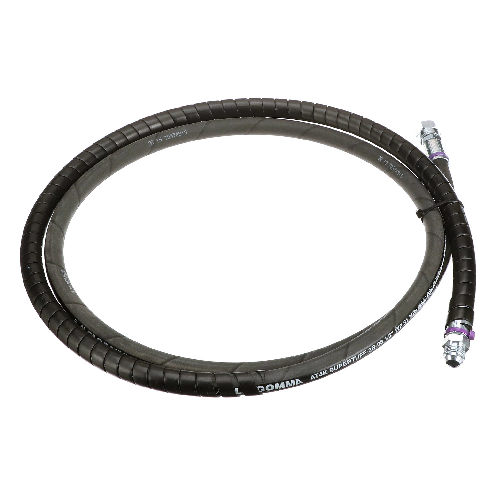 MANGUEIRA | CASECE | SA | PT