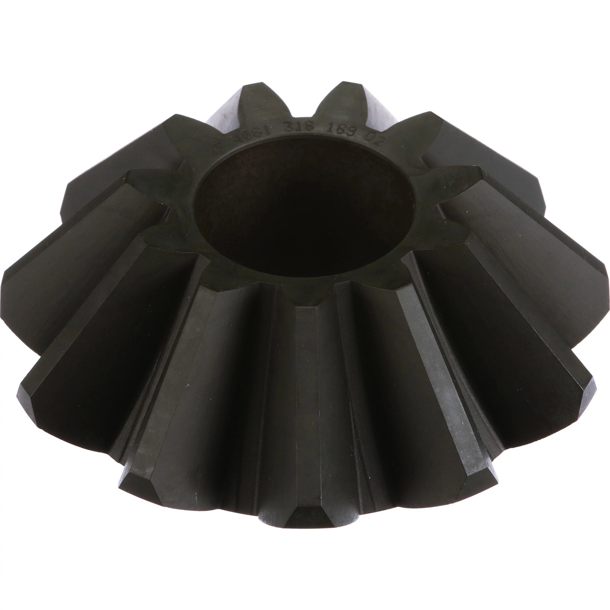 PIGNON CONIQUE | NEWHOLLANDCE | CA | FR