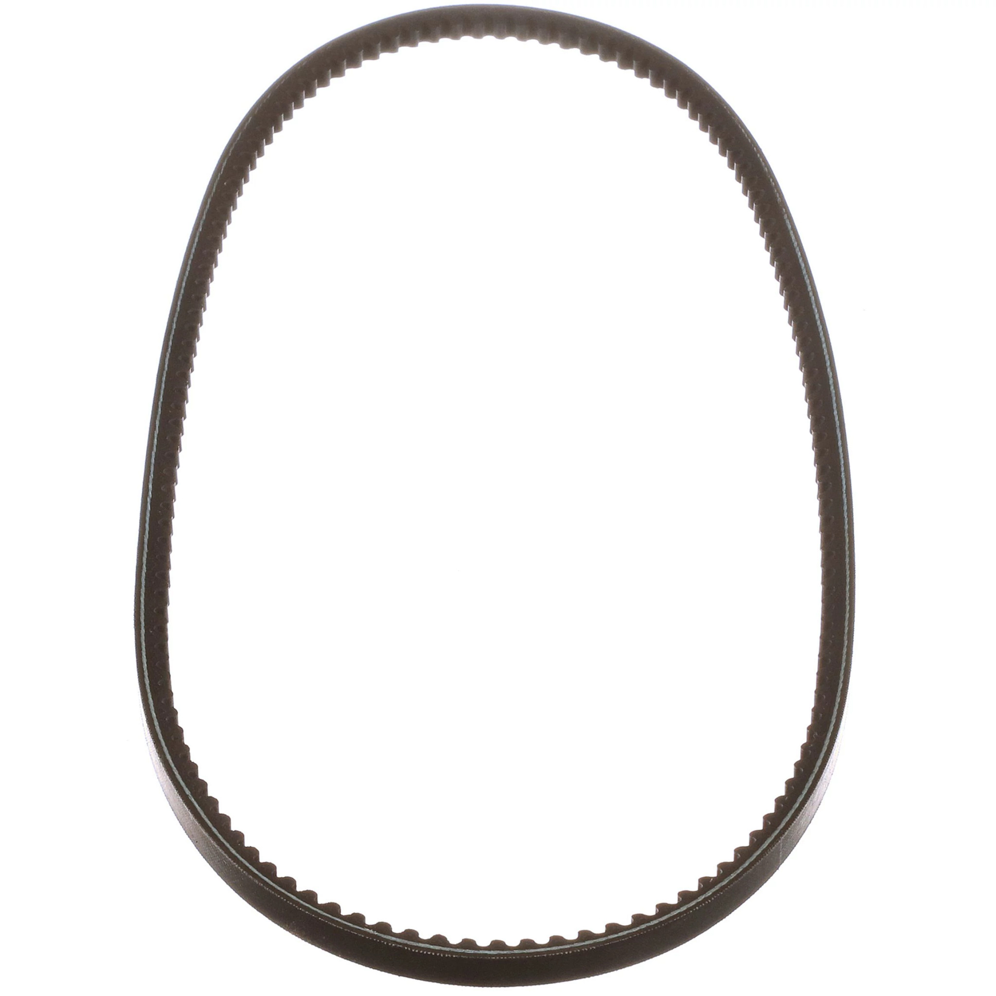 CORREIA | CASEIH | EU | PT