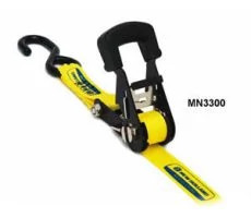 Arrimage à cliquet de robustesse normale - 16 pi x 1 po | NEWHOLLANDAG | CA | FR