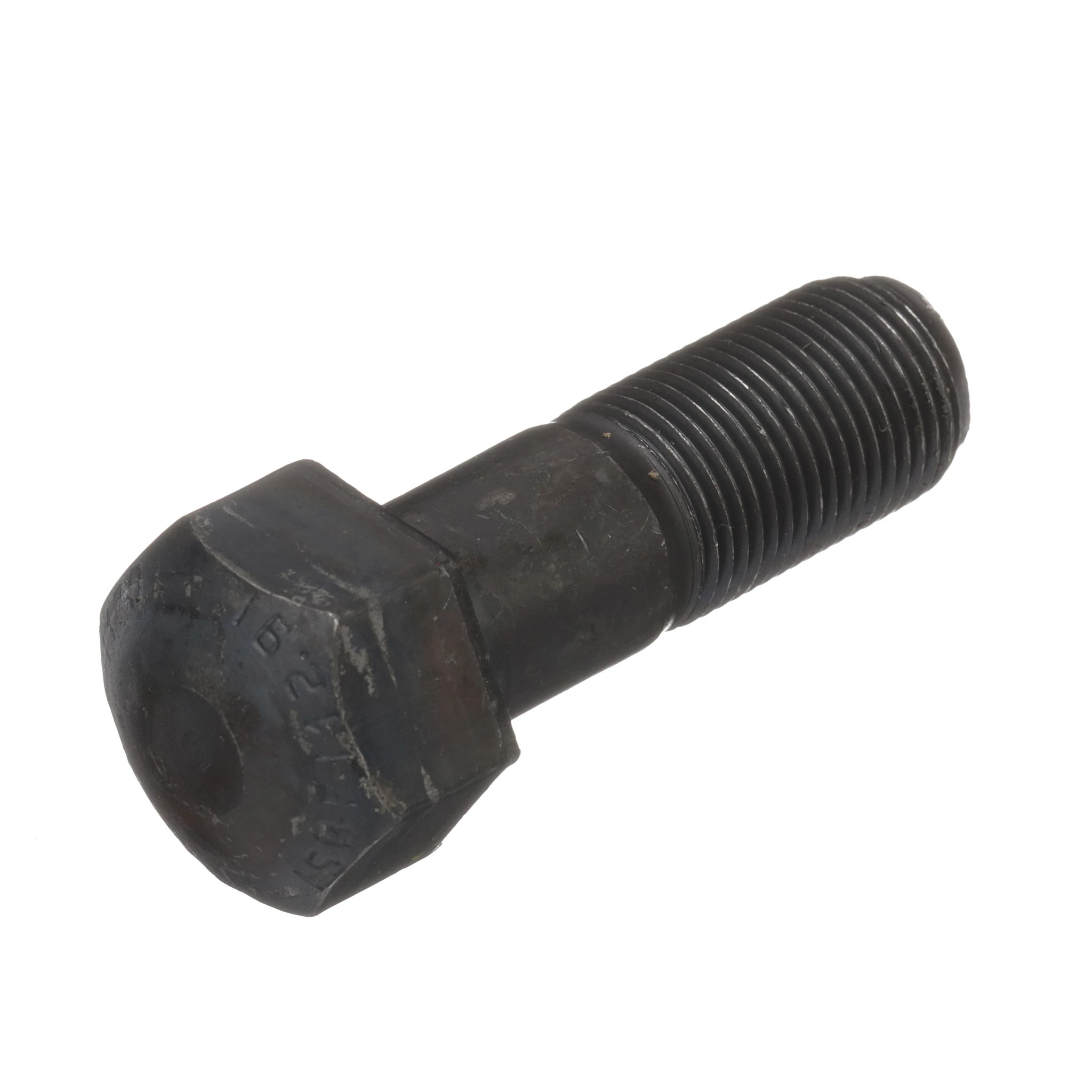 Bolt | CASECE | BR | PT