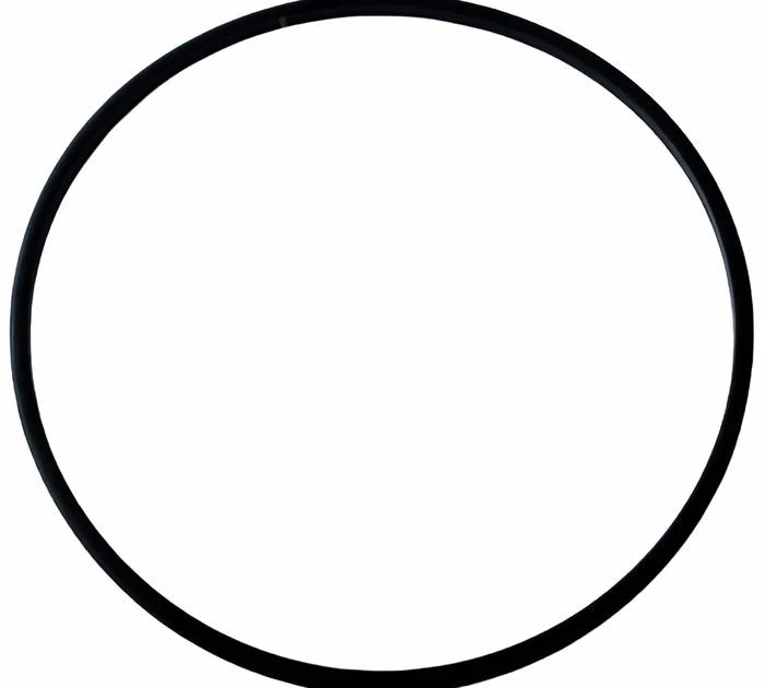 Sealing Ring | CASECE | CA | EN