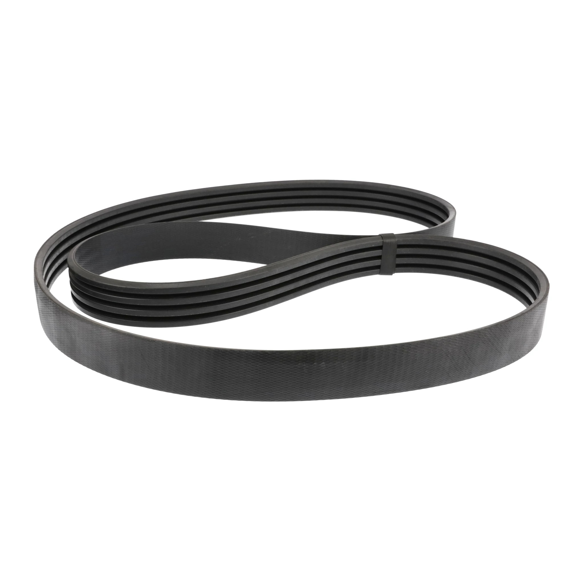 BELT | CASECE | AMEA | EN