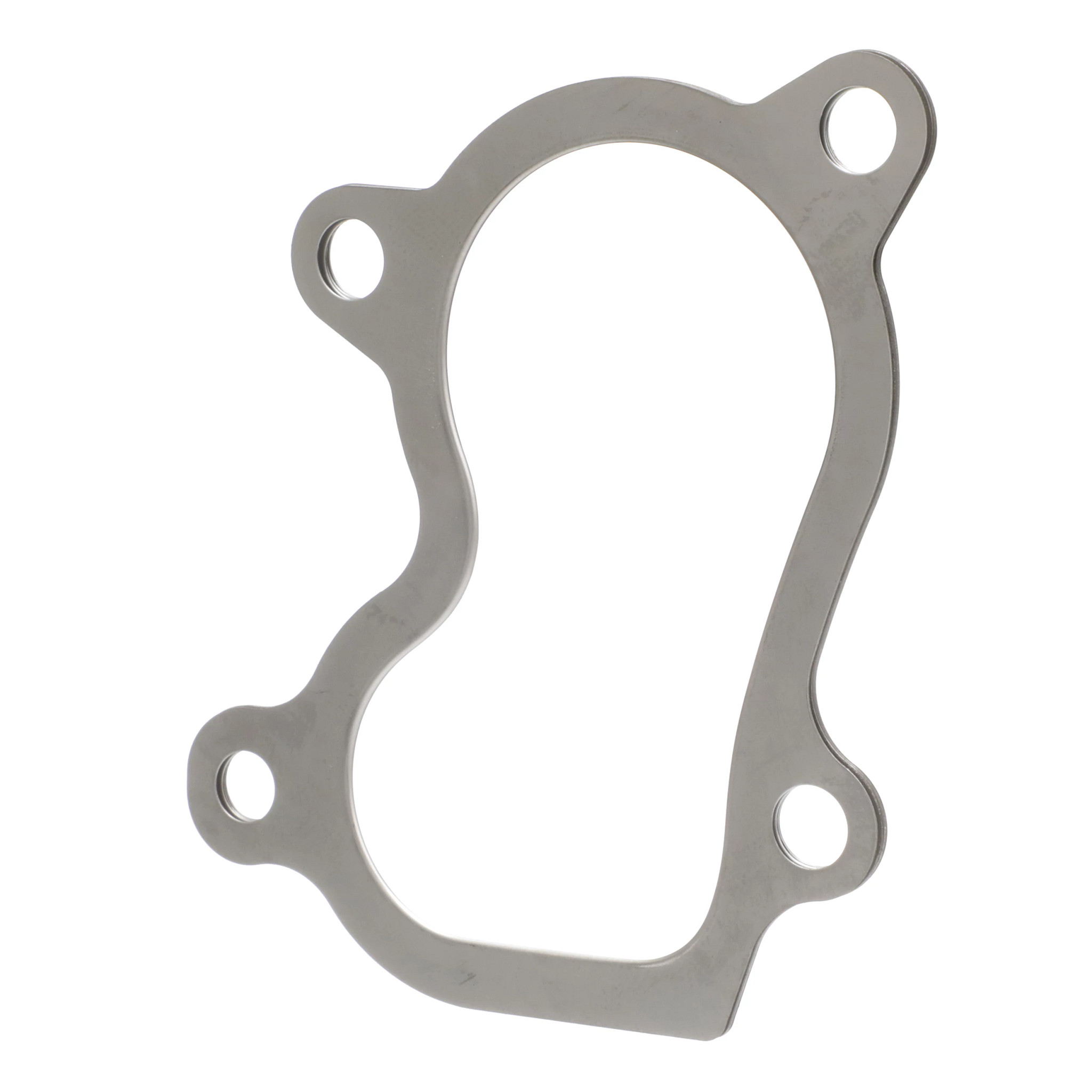 Gasket | CASECE | BR | PT
