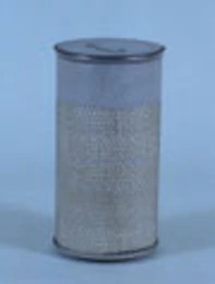 Fleetguard Air Filter | CASECE | US | EN