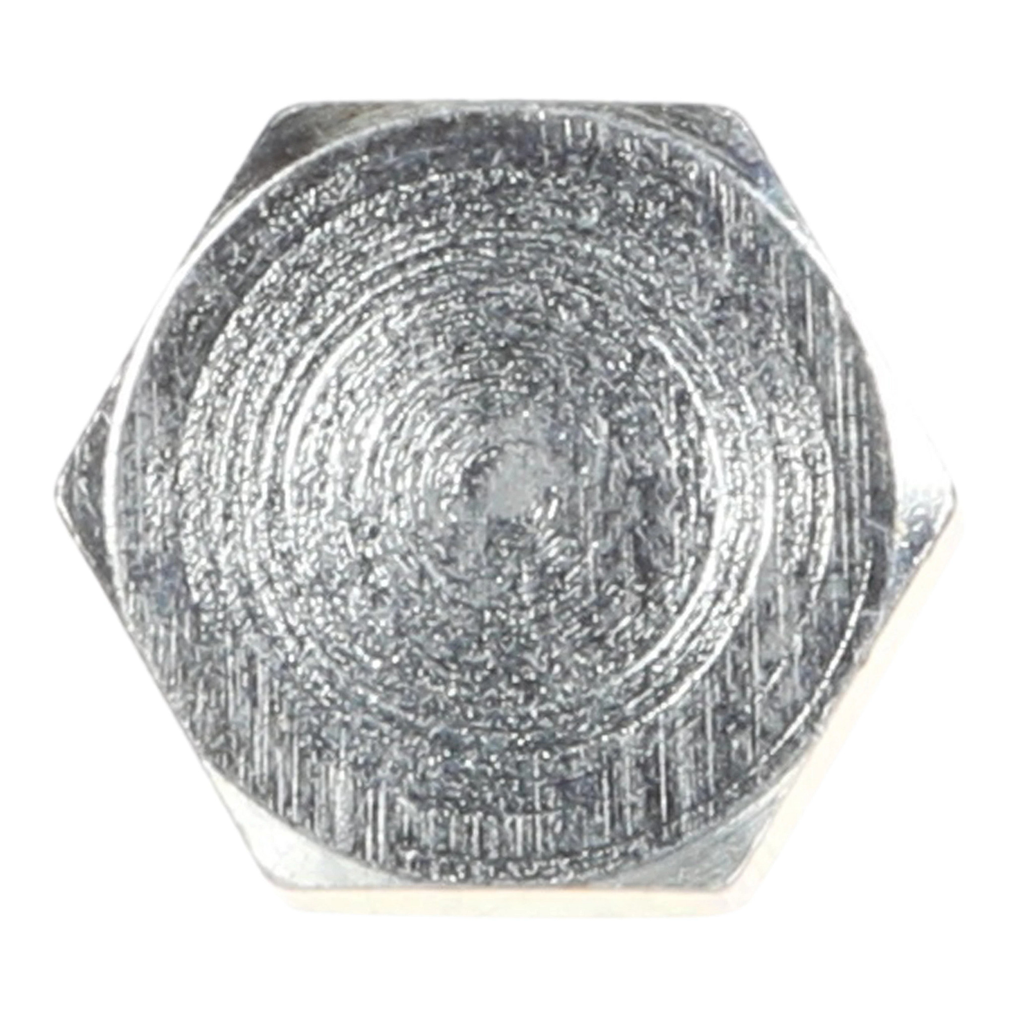 PLUG | CASECE | US | EN