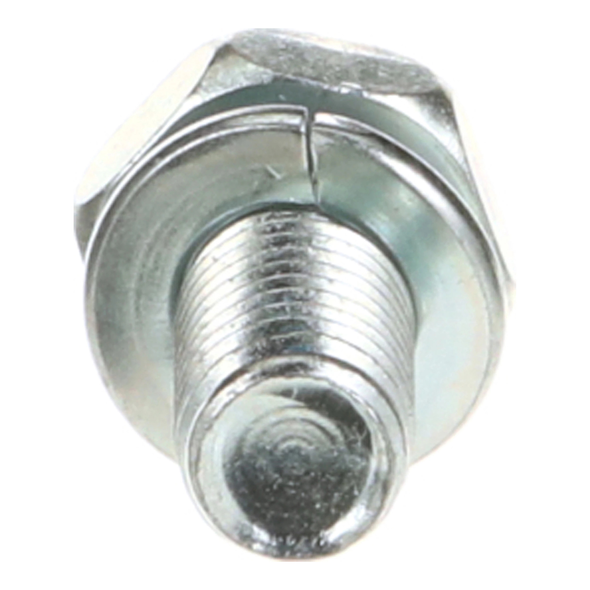 Bolt - Cl 8.8 - M6