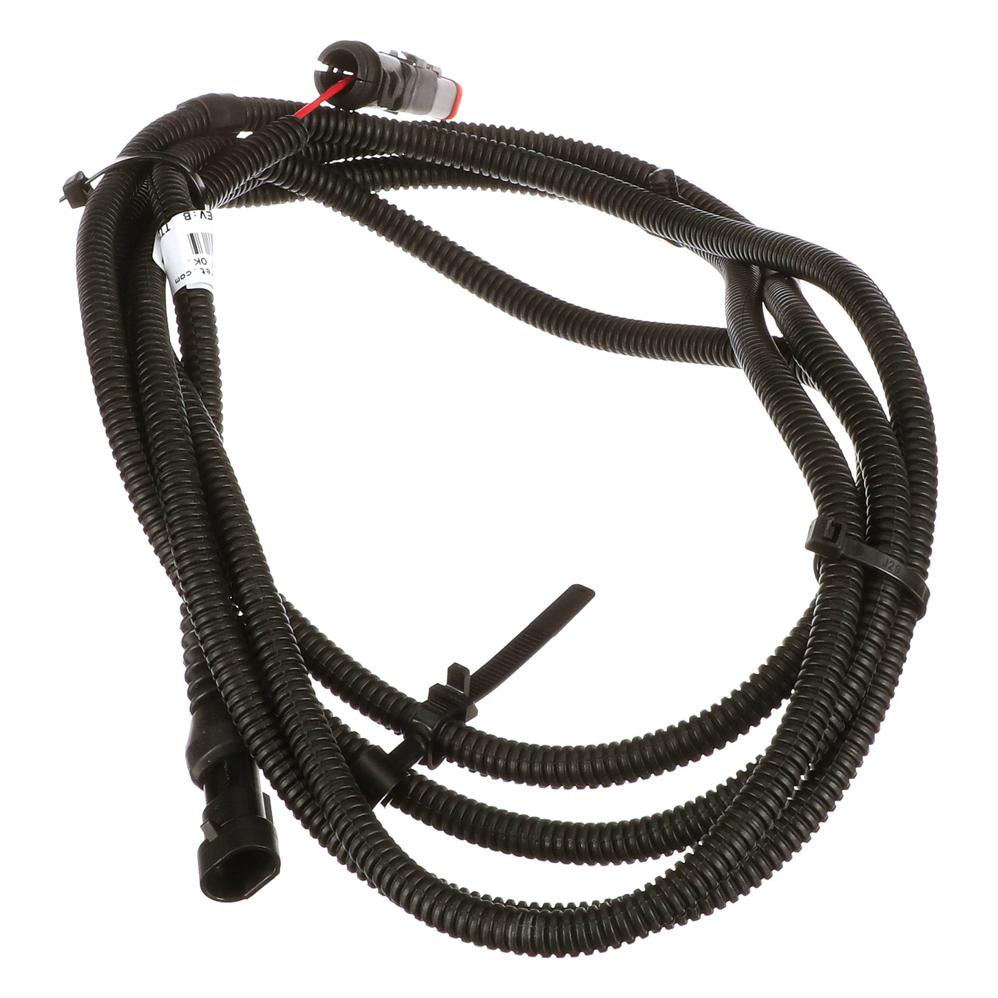 CHICOTE | CASECE | EU | PT