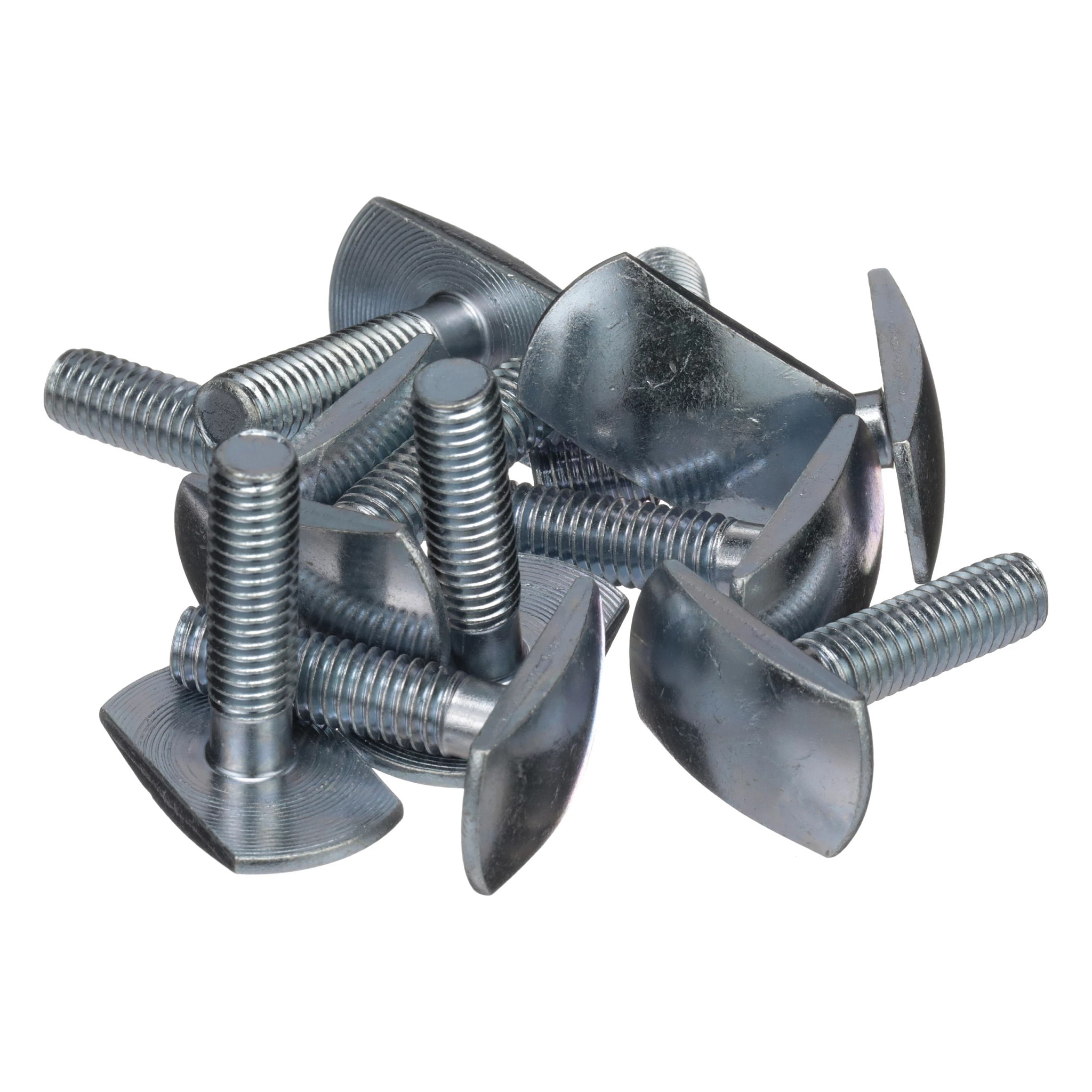 BOLT | CASECE | AMEA | EN