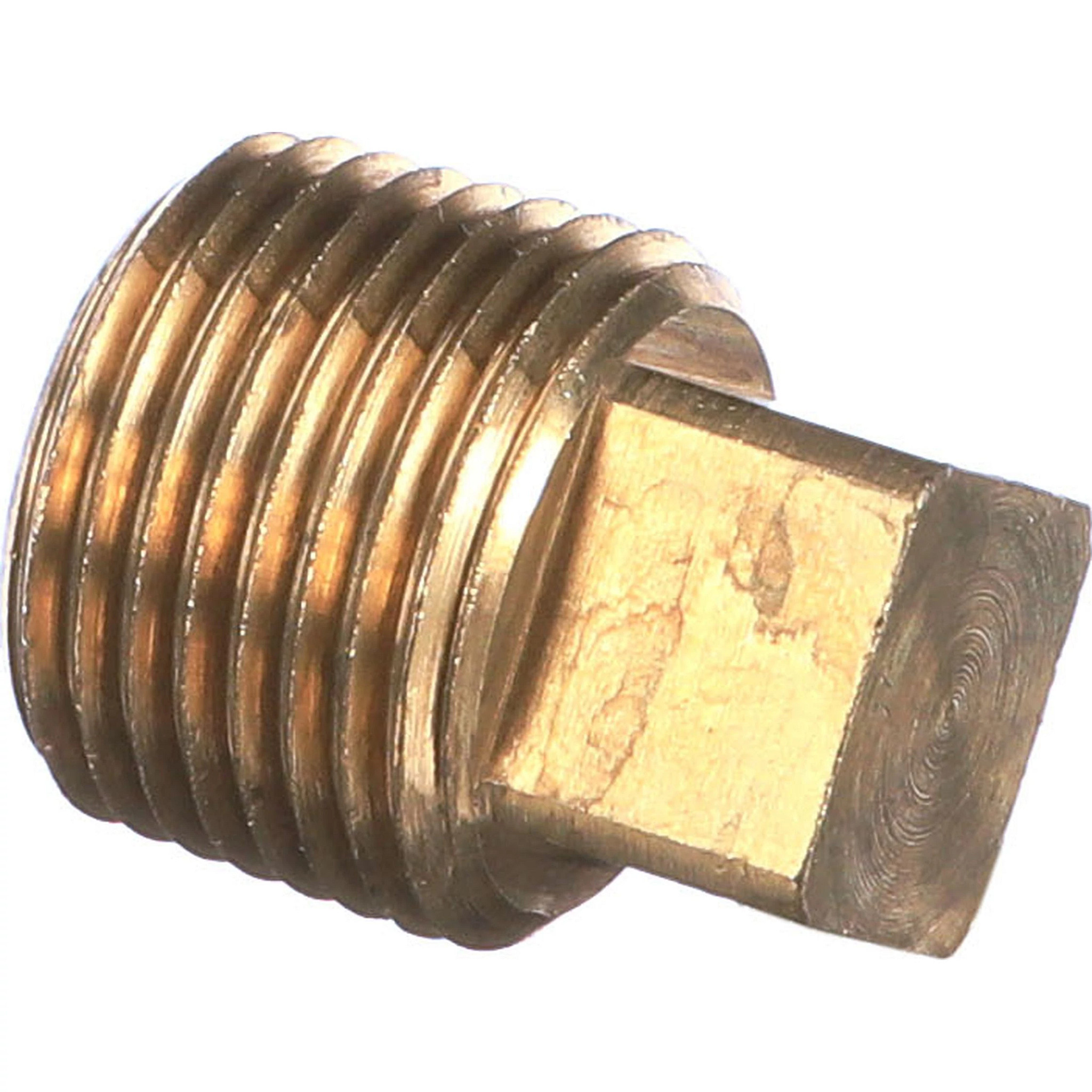 PLUG | CASECE | EU | EN