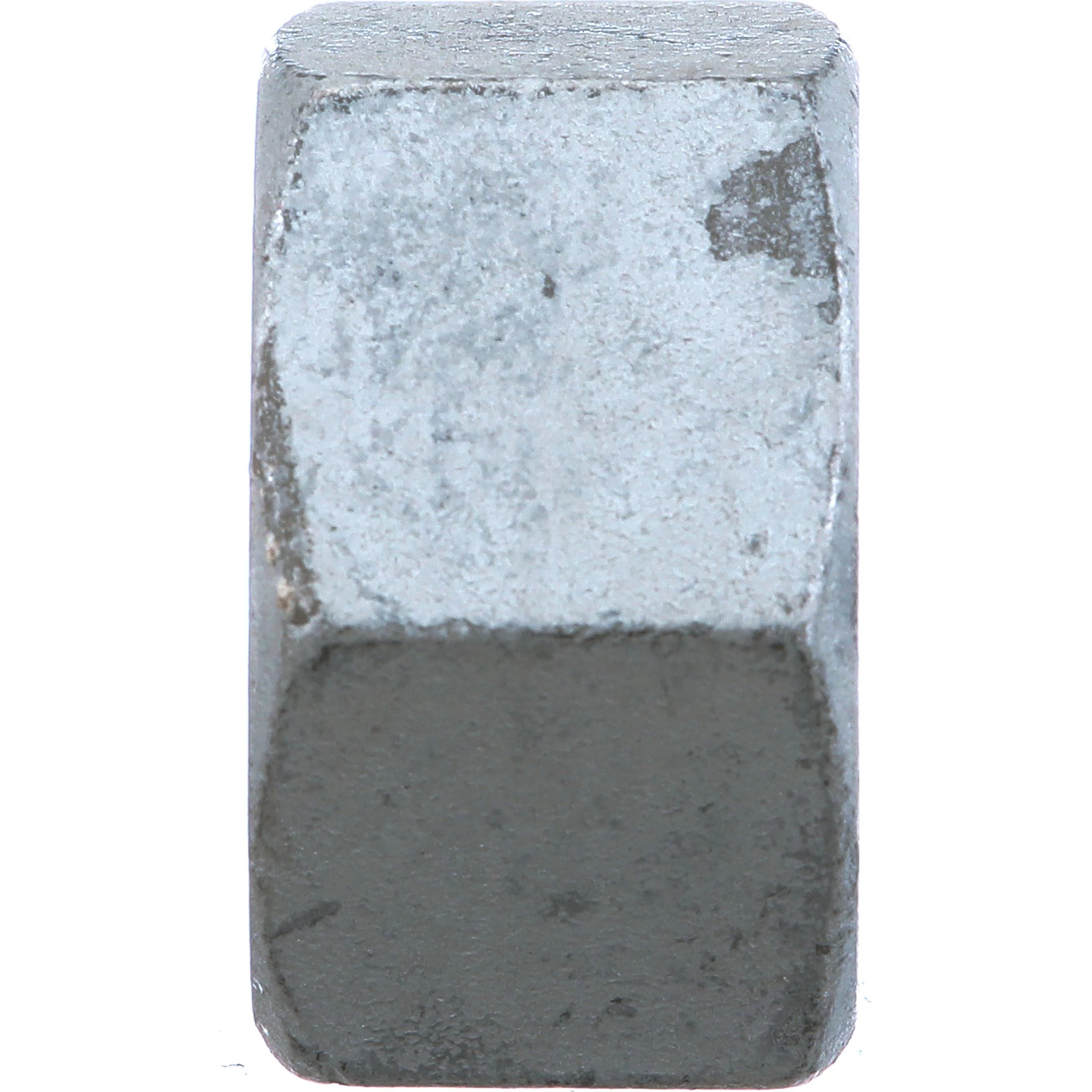 NUT | NEWHOLLANDAG | CA | EN