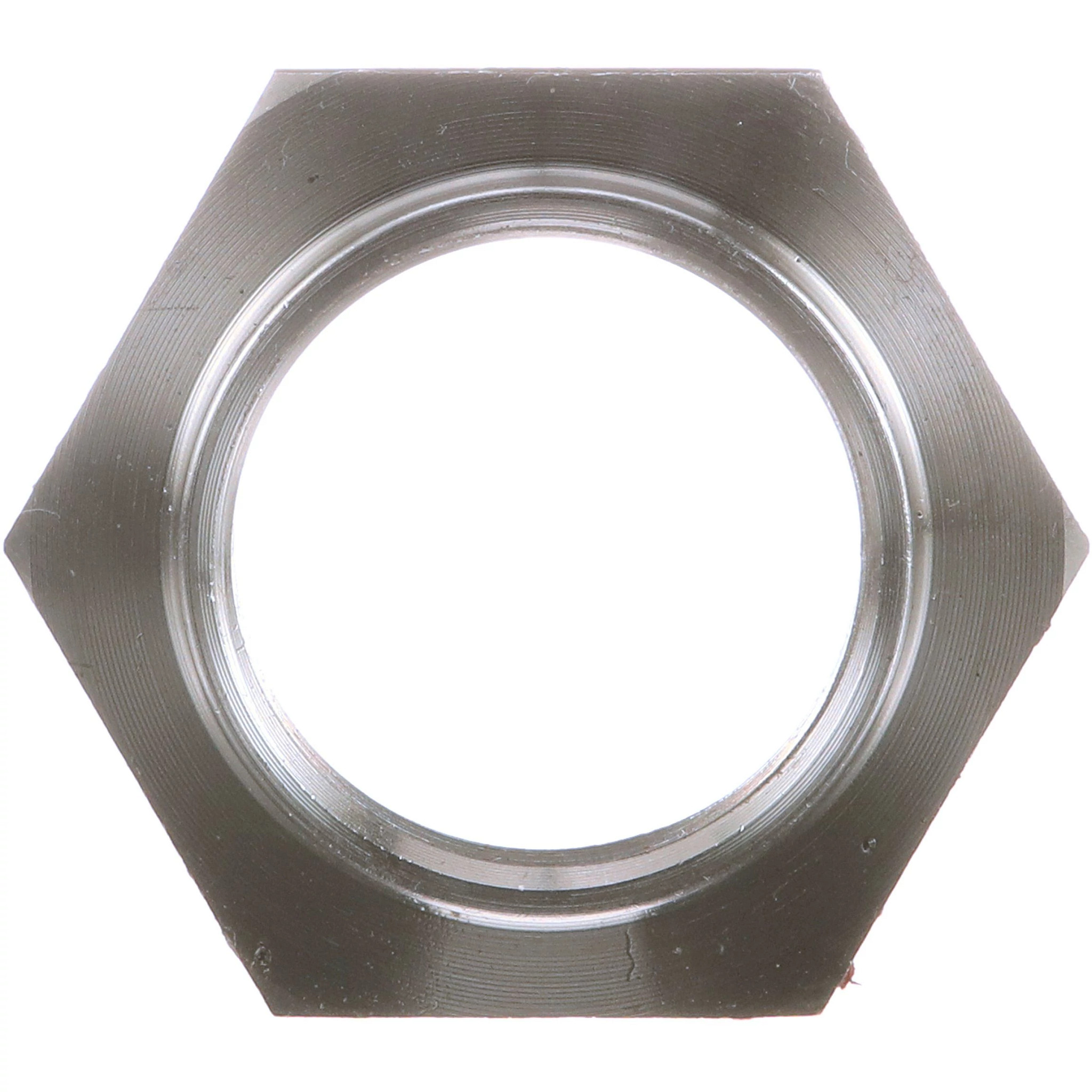 NUT | NEWHOLLANDAG | NZ | EN