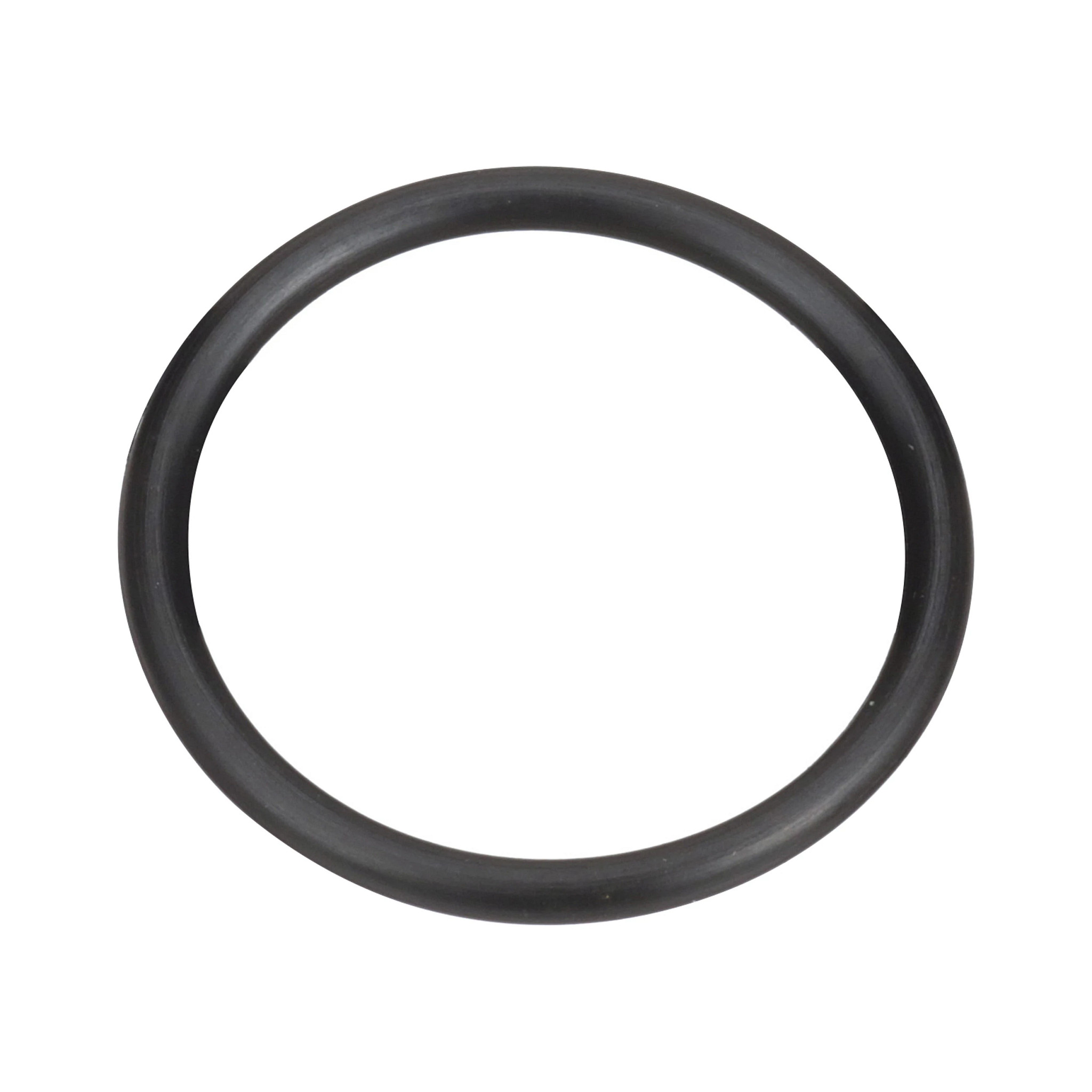 O-RING | CASECE | EU | EN