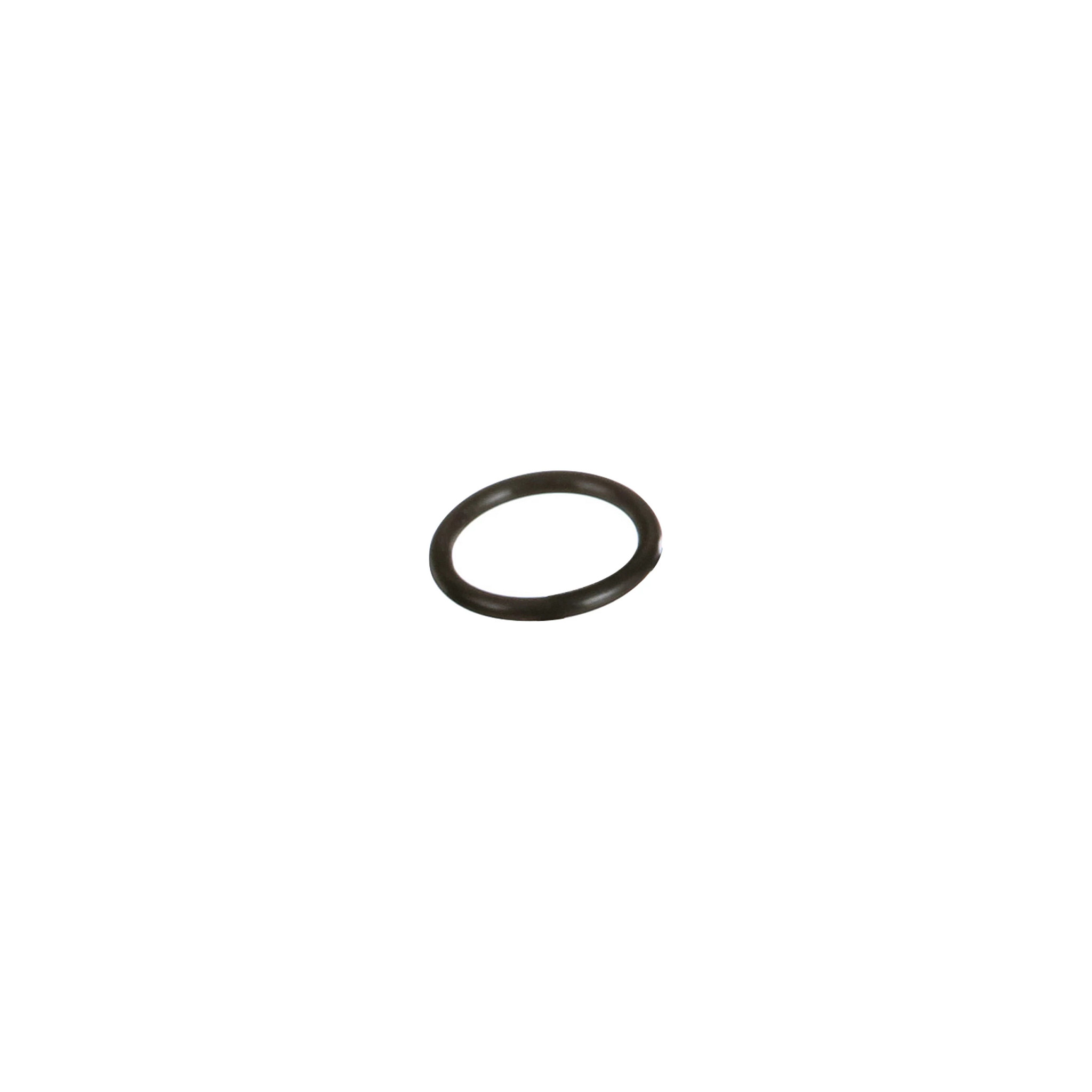 O-RING | CASEIH | CA | EN