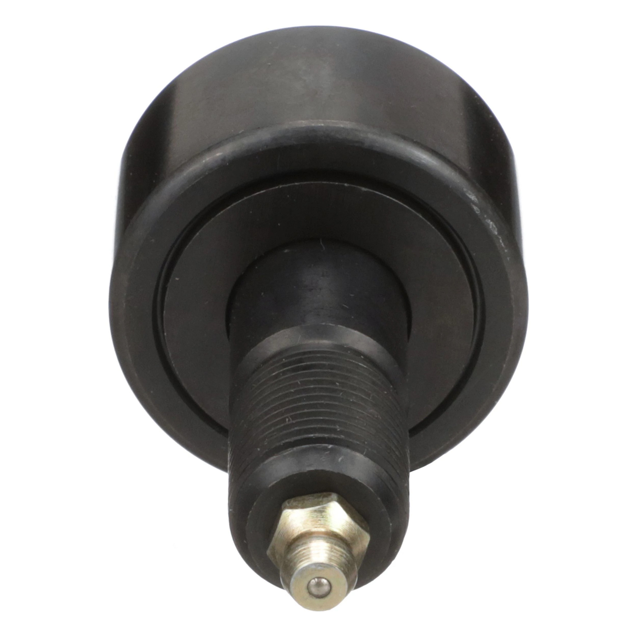 ROLAMENTO | CASEIH | EU | PT