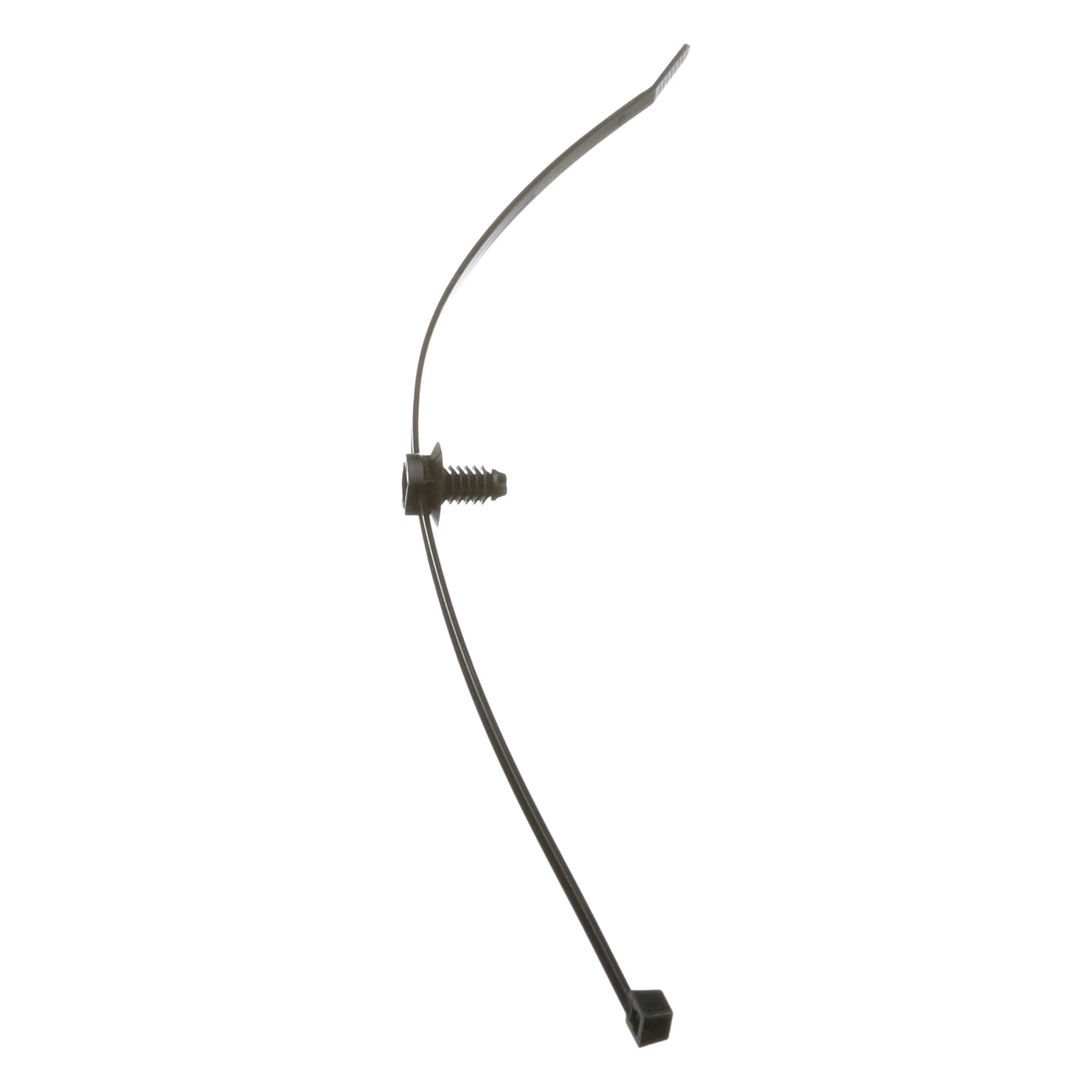 SECURING STRAP | CASECE | EU | PT