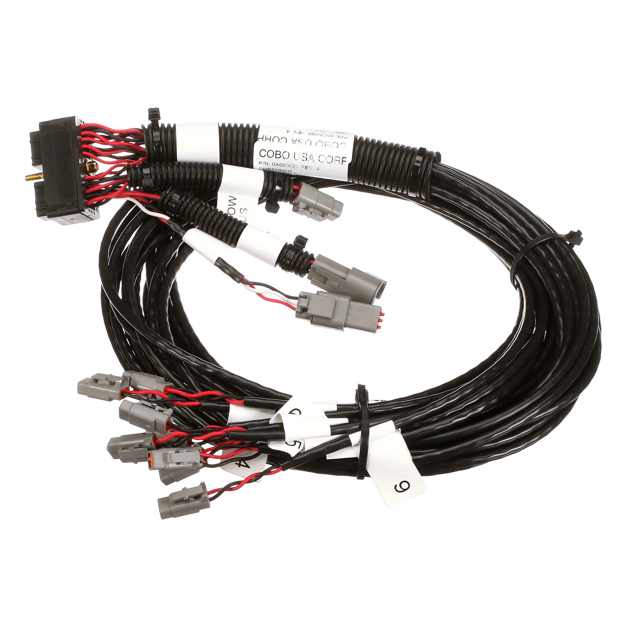 WIRE HARNESS | CASEIH | CA | EN