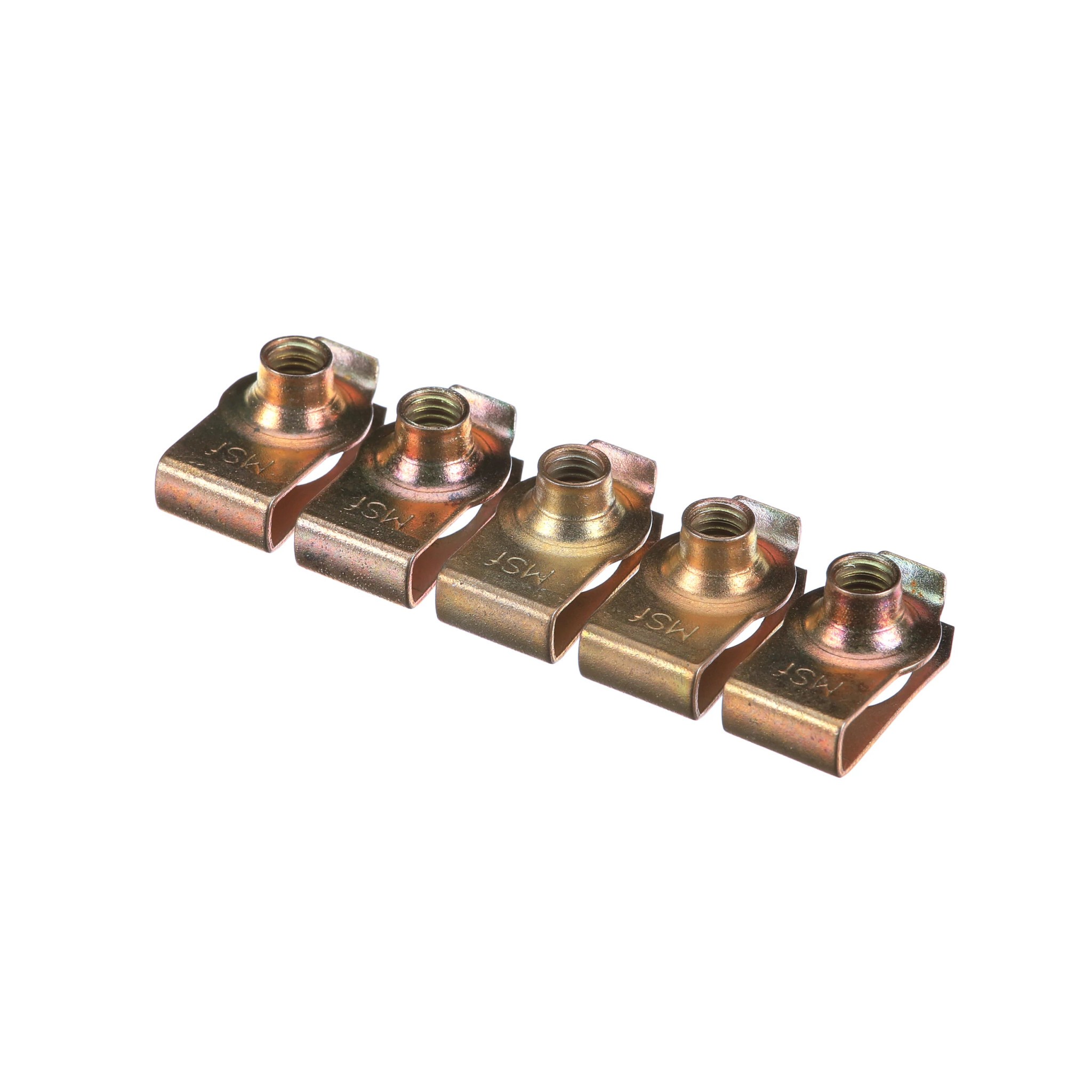 PORCA-MOLA | CASECE | BR | PT