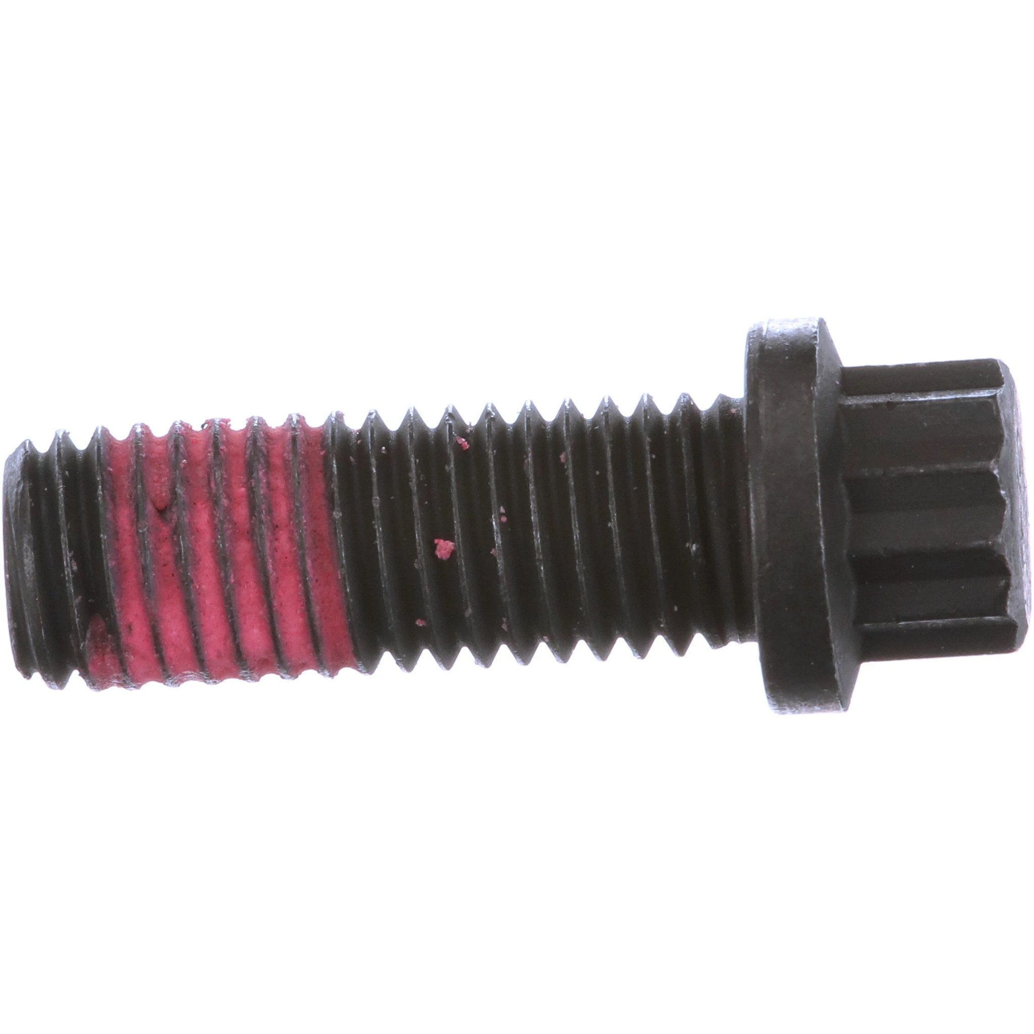 BULLONE | CASECE | EU | IT