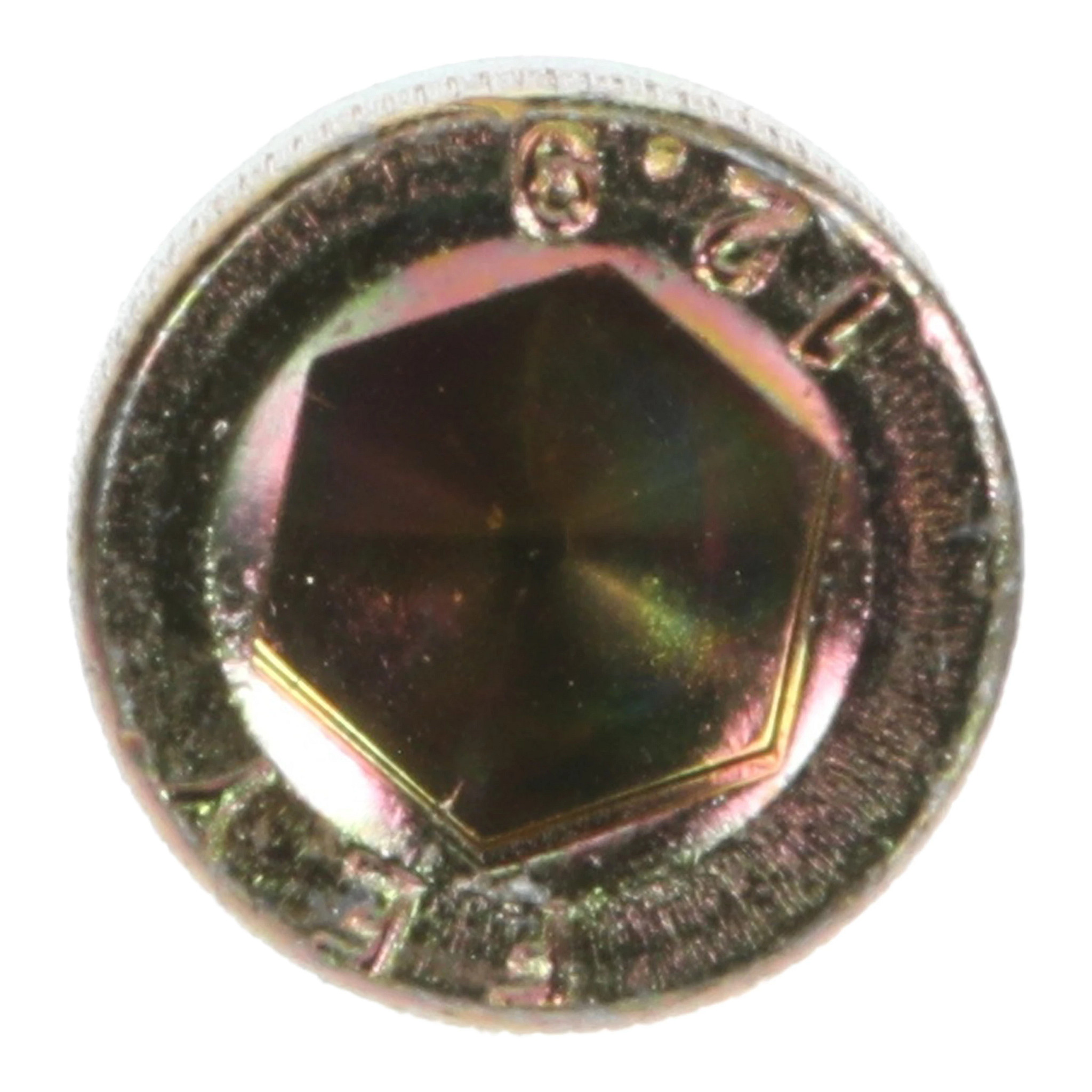 HEX SOC SCREW | CASECE | CA | EN