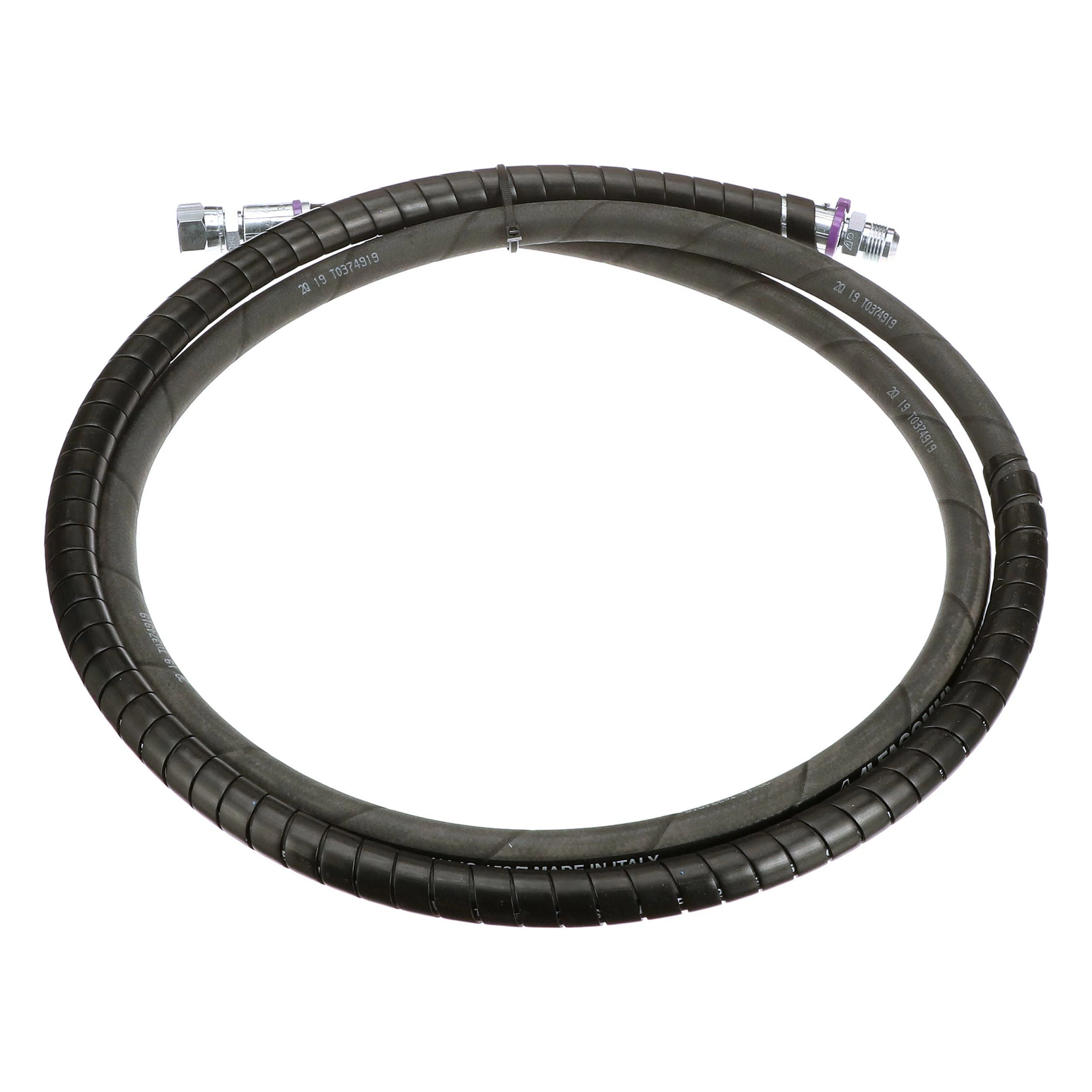 MANGUEIRA | CASECE | SA | PT