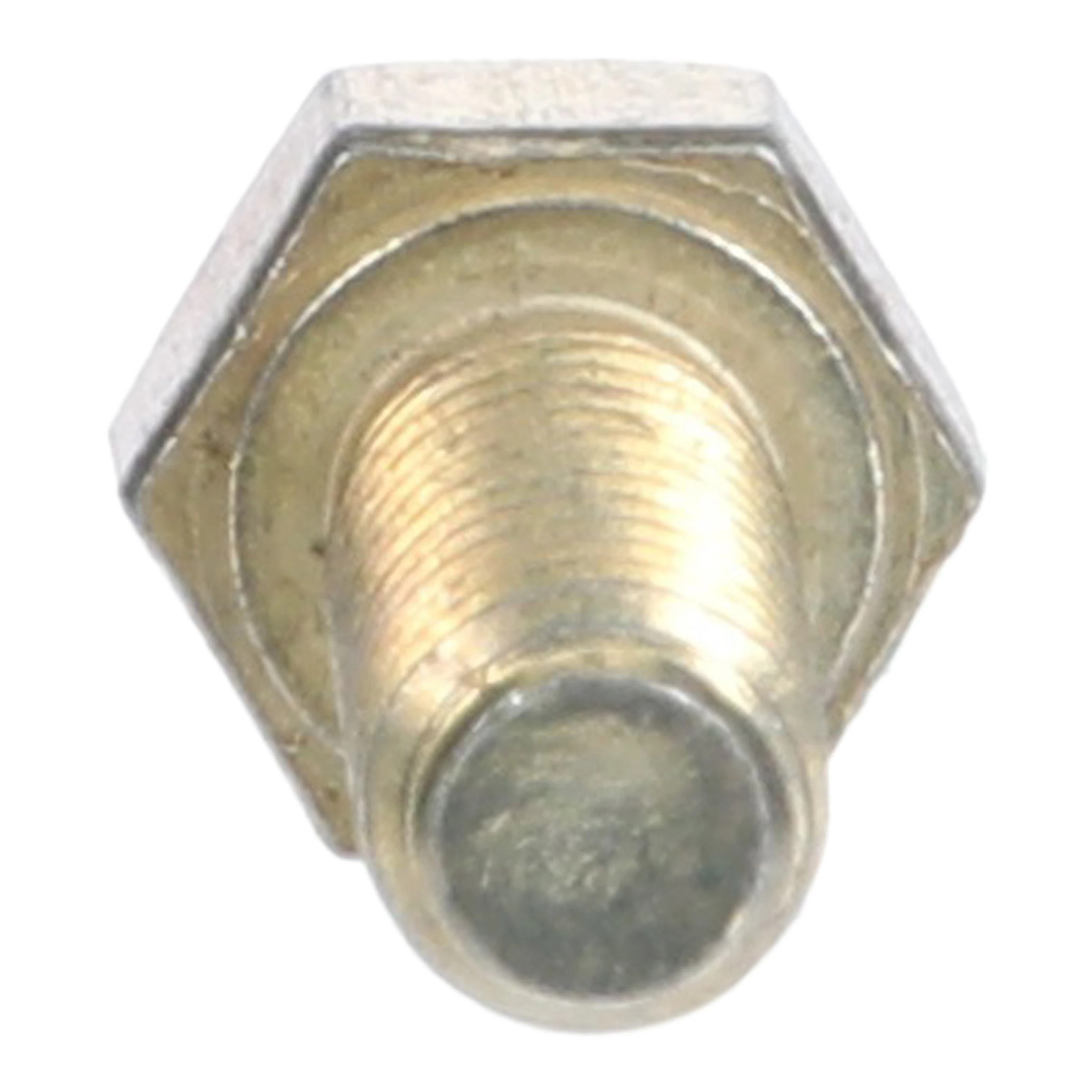 BULLONE | CASECE | EU | IT