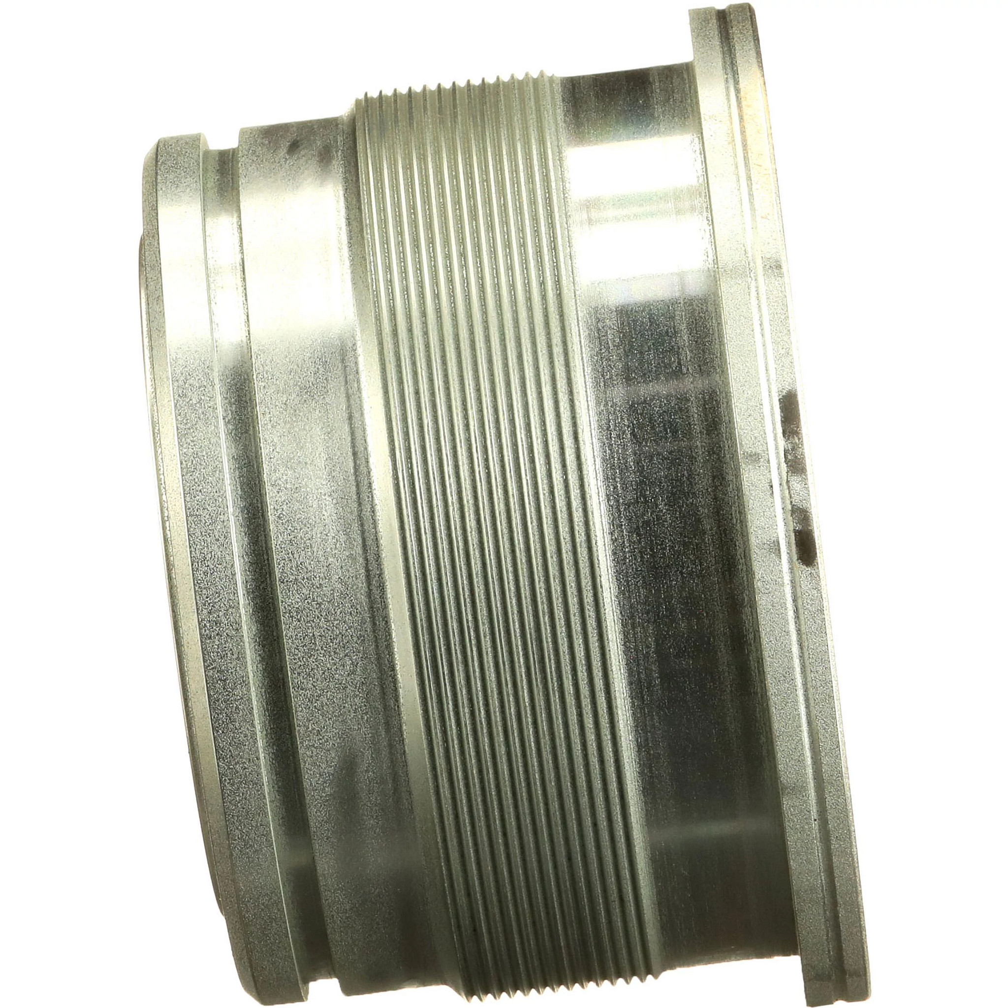 GLAND | CASECE | CA | EN