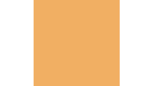 PAINT | CASEIH | EU | EN