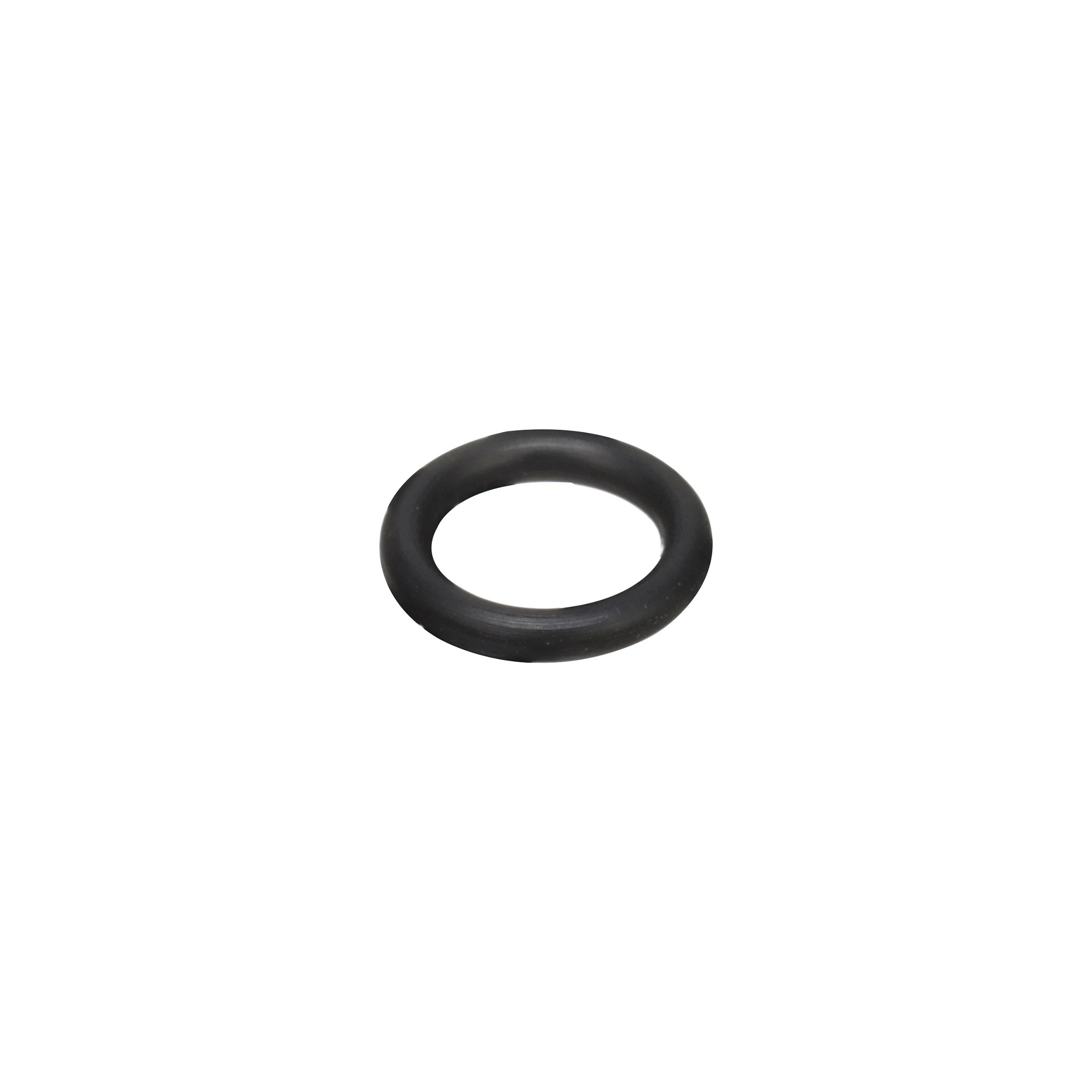 O-RING | CASECE | ANZ | EN