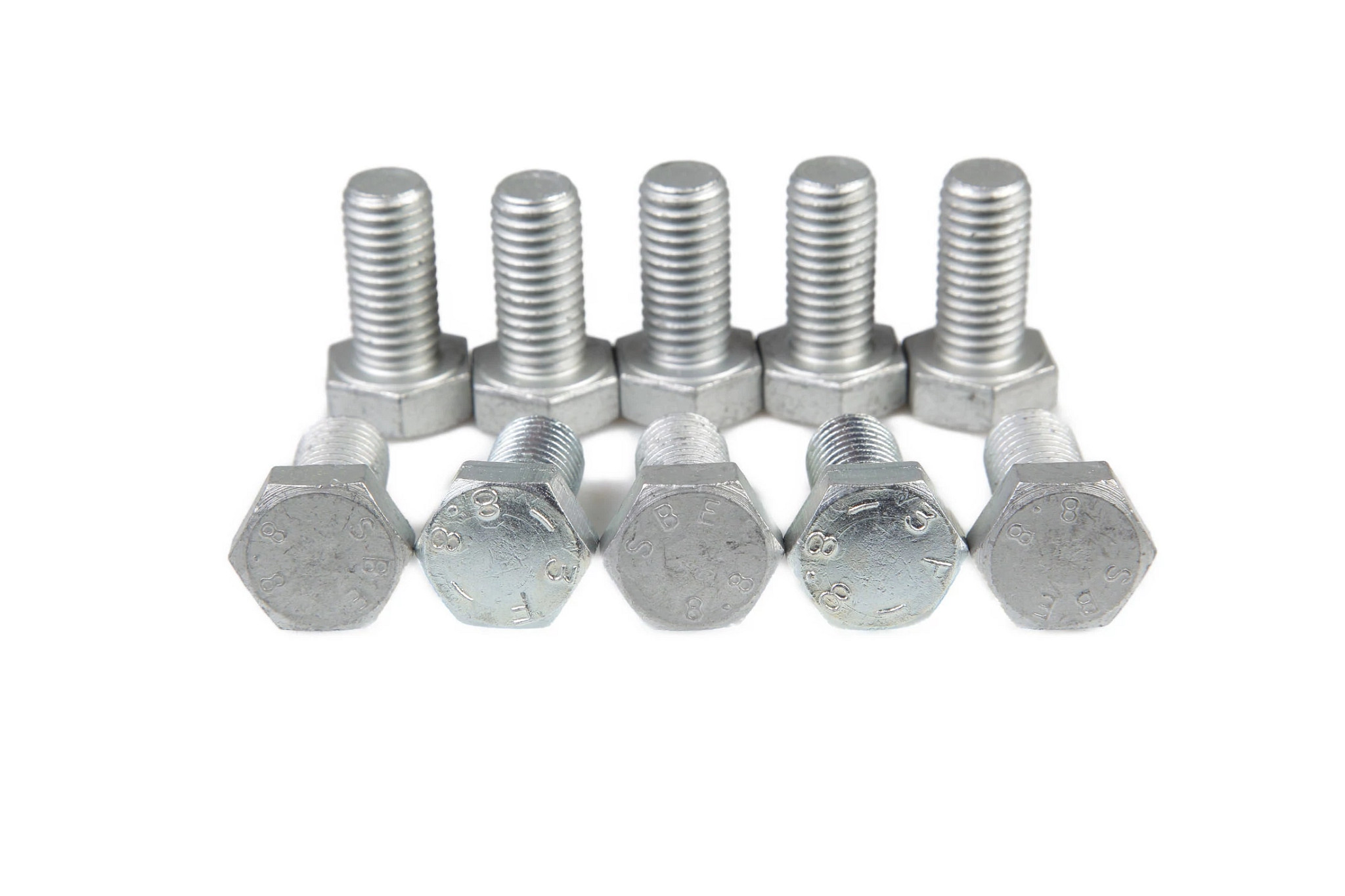 SCREW | CASECE | US | EN