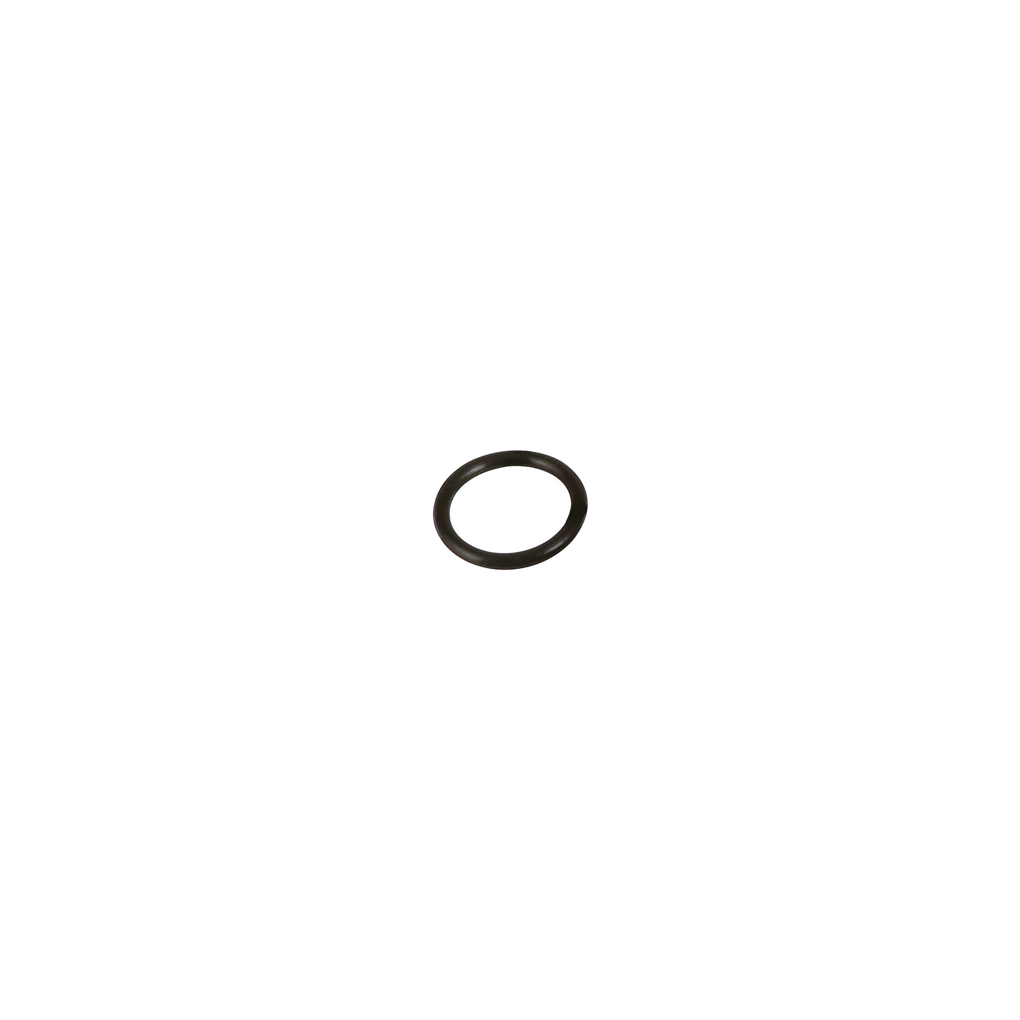 O-RING | CASEIH | CA | EN