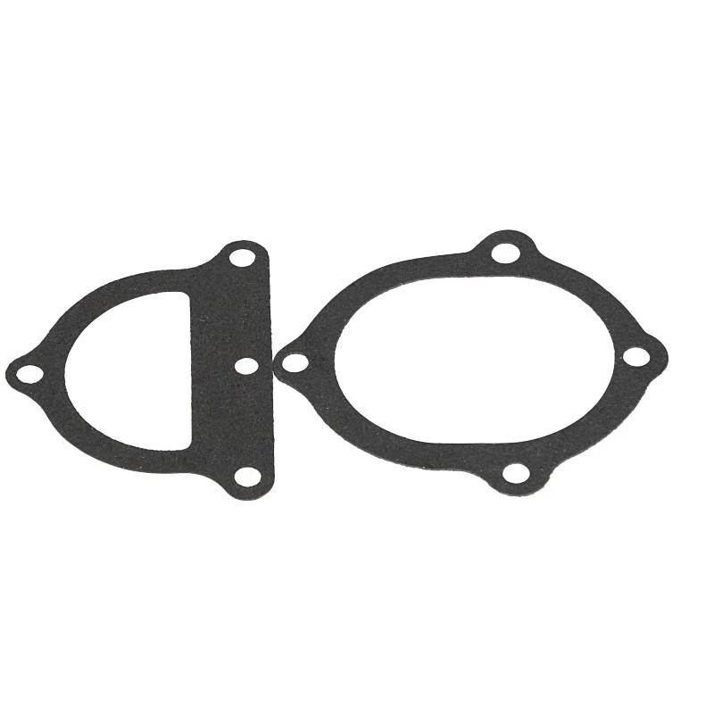Water Pump Gasket - Backplate to Block | CASECE | US | EN